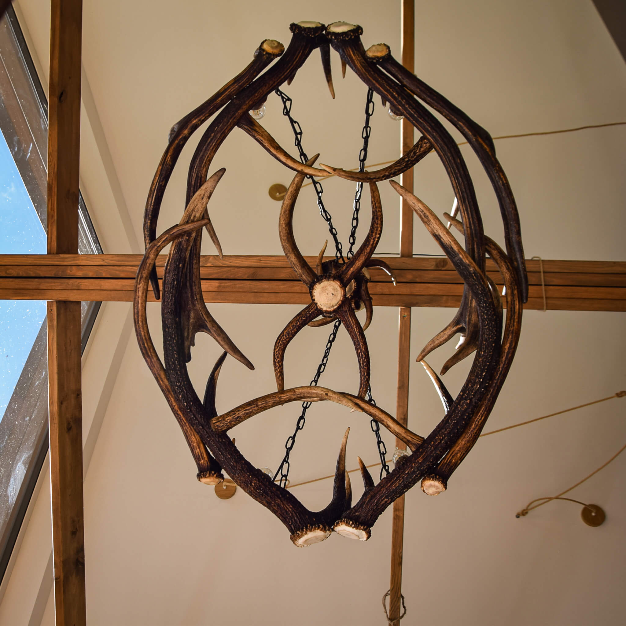 View from the botto at antler chandelier.