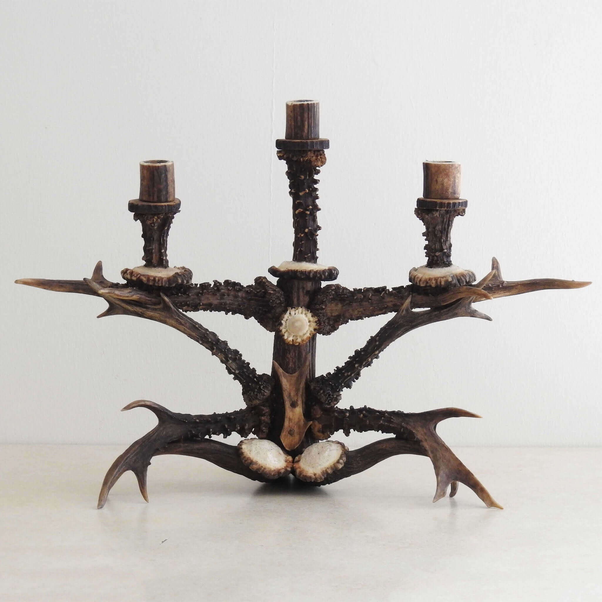 Real antler decor.