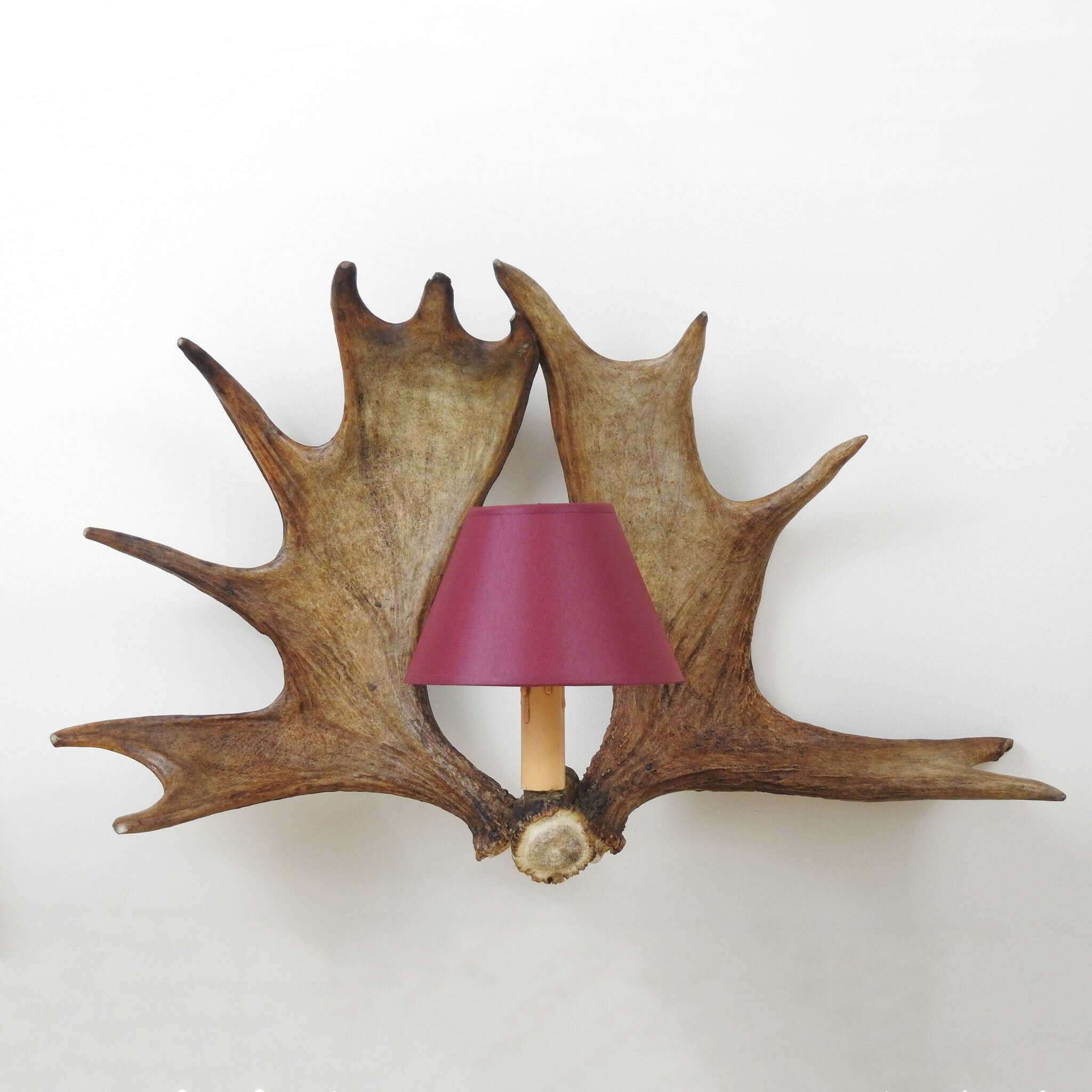 Moose antler lighting.