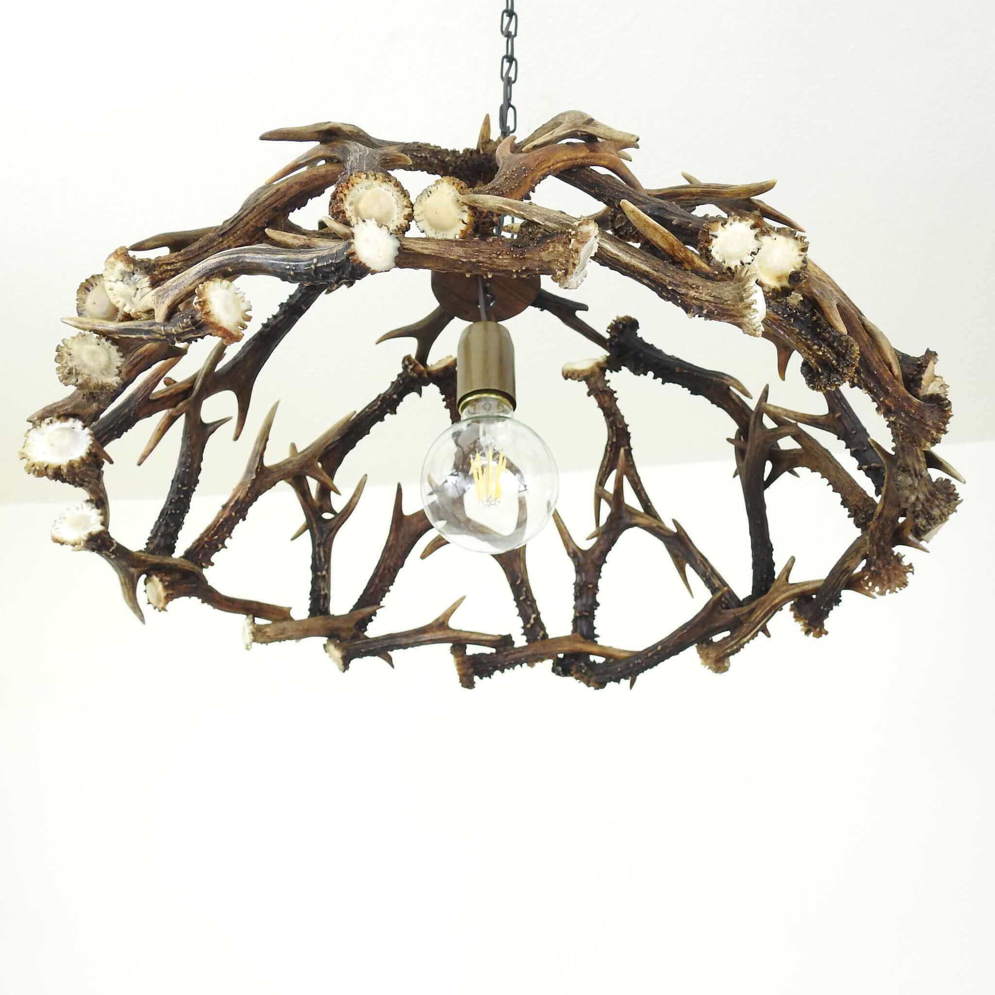1-bulb antler light fixture.