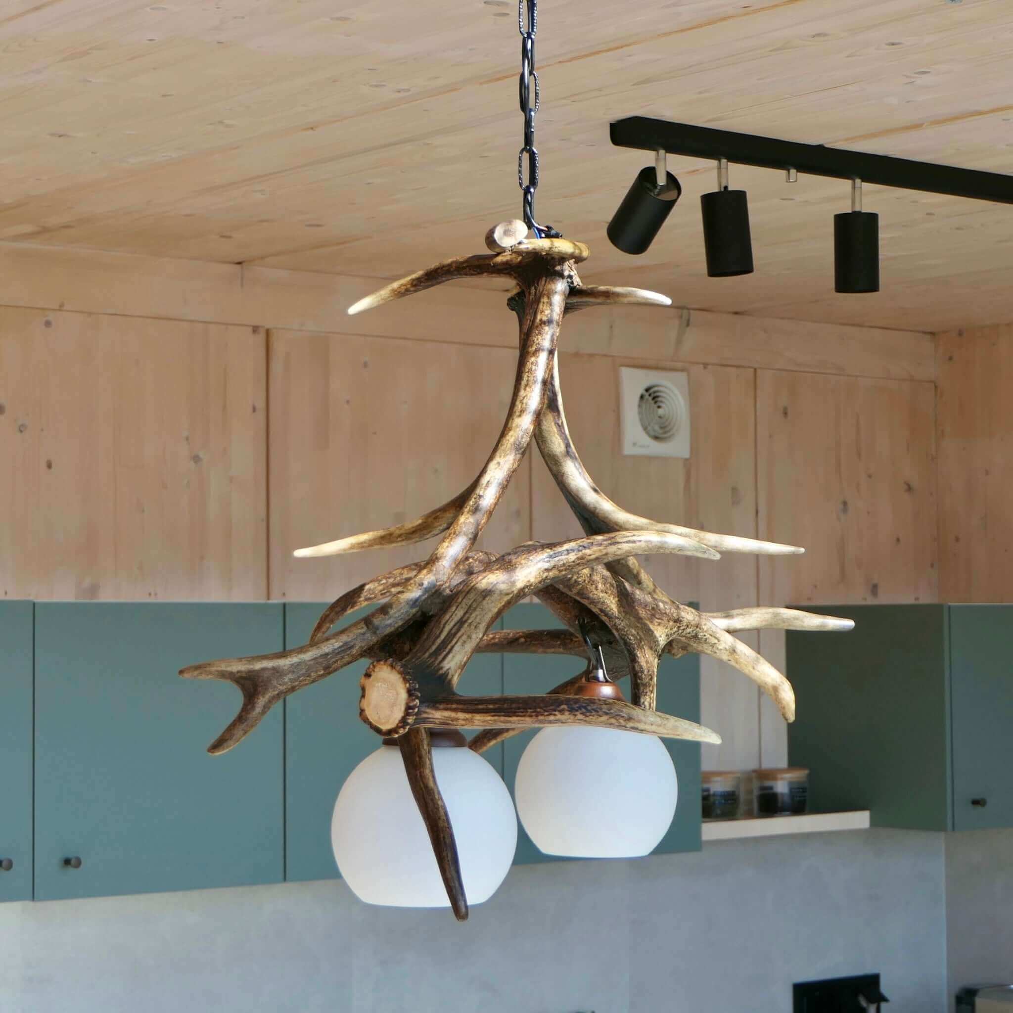 Deer antler lighting for dinning room.