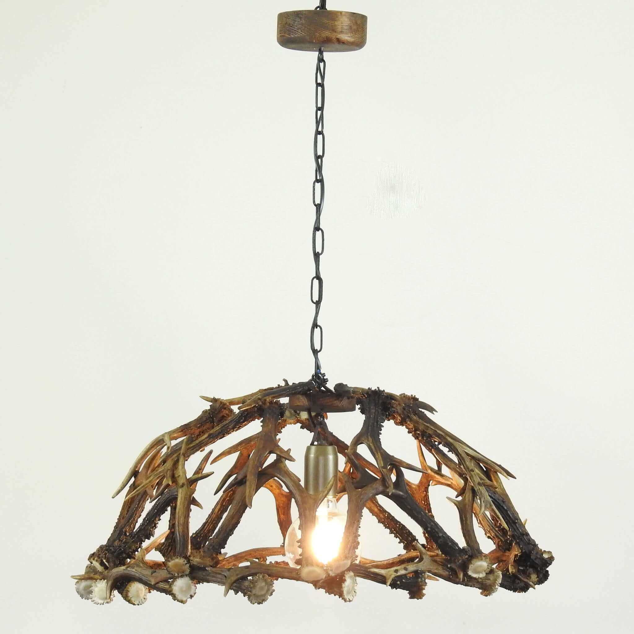 Real antler light fixture.