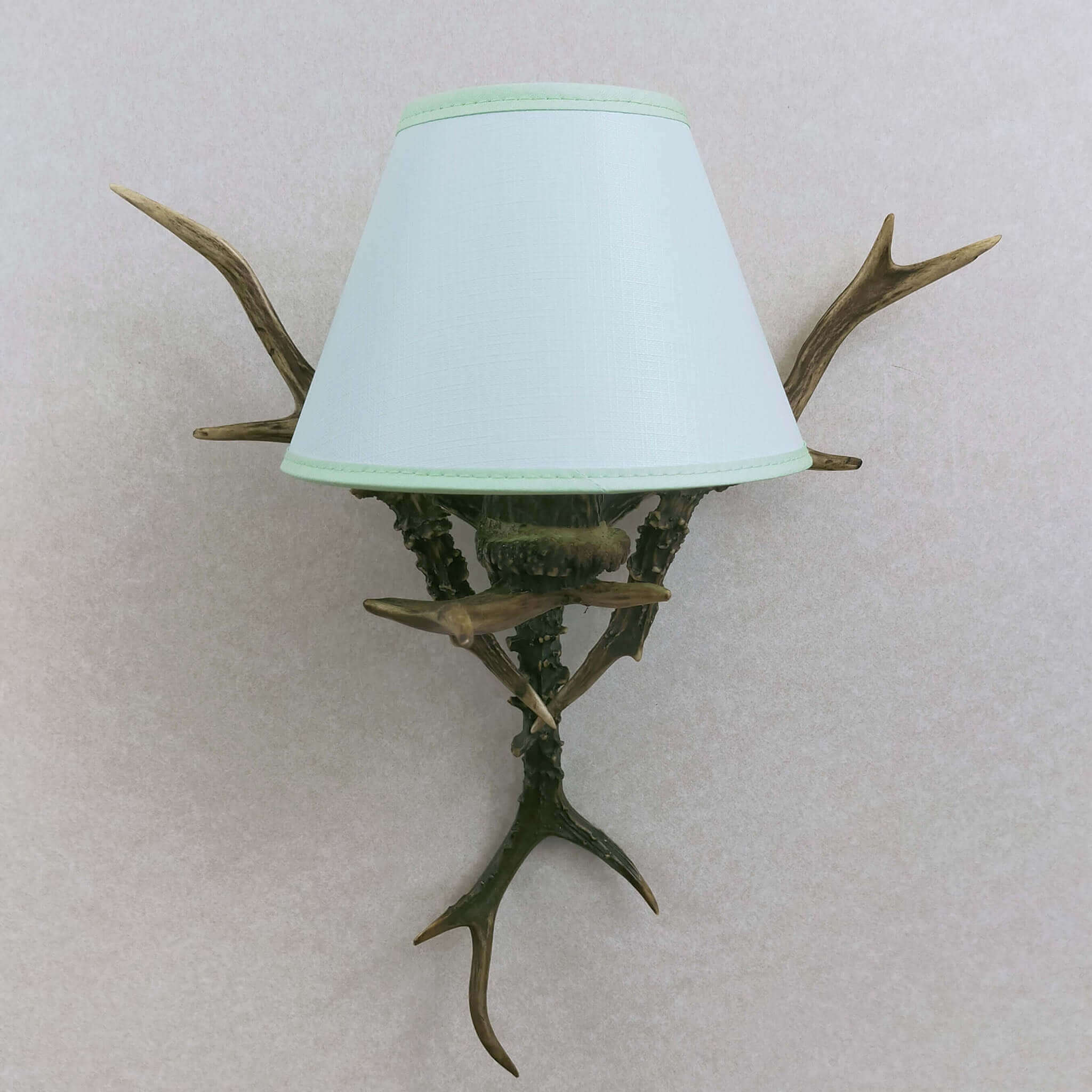 Deer antler sconce.