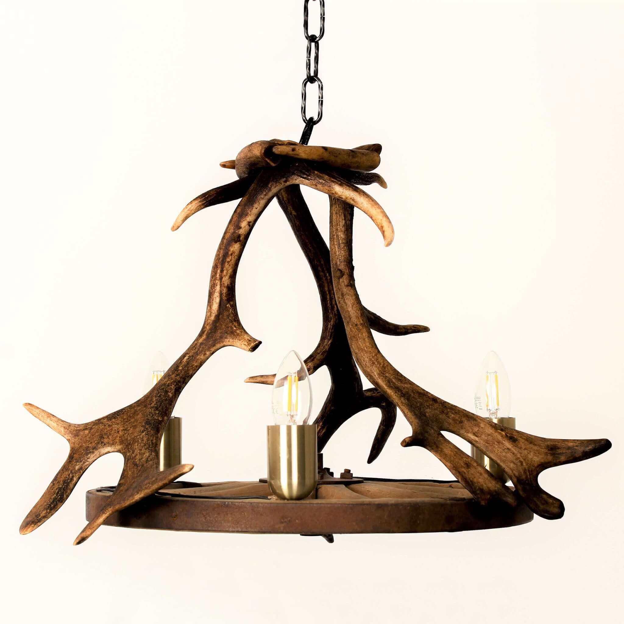 Small antler chandelier.