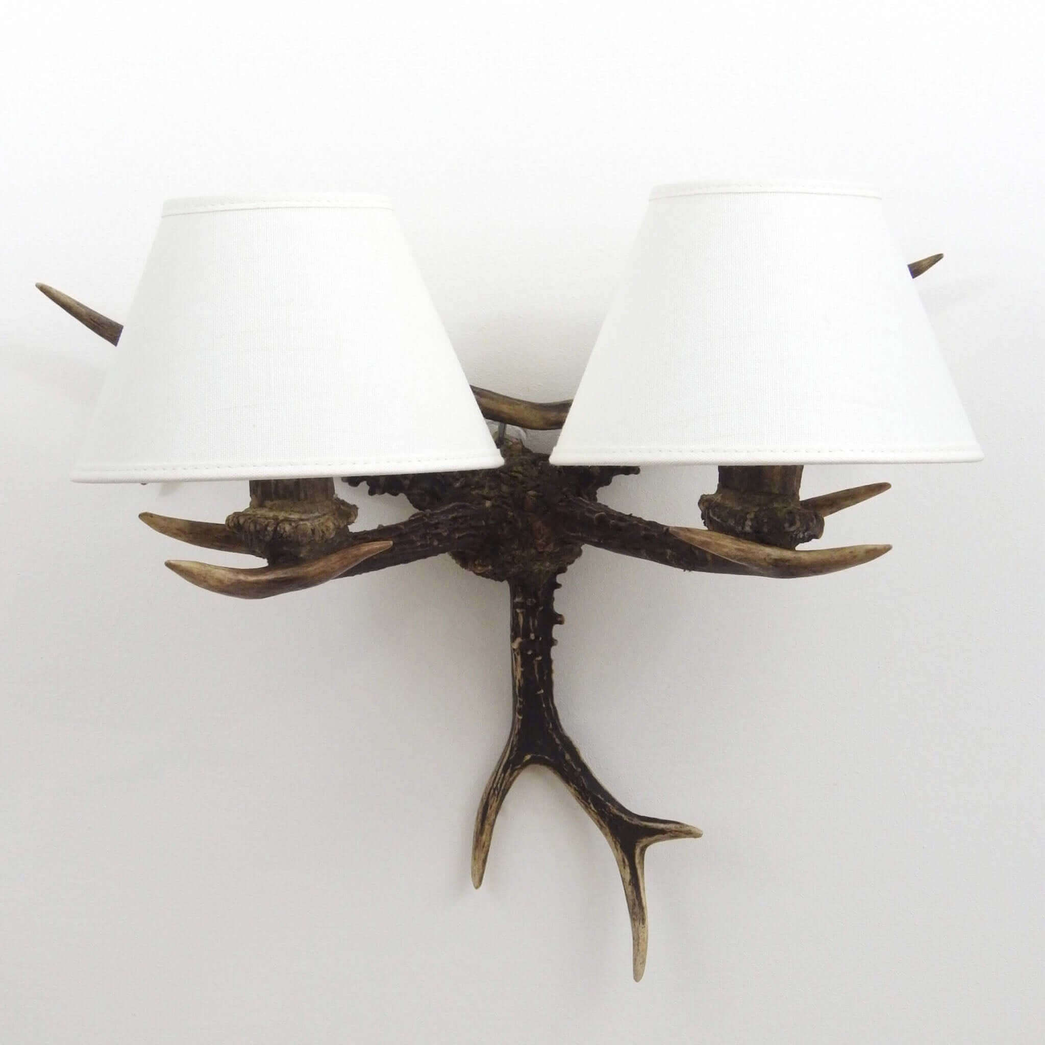 Deer antler lighting.