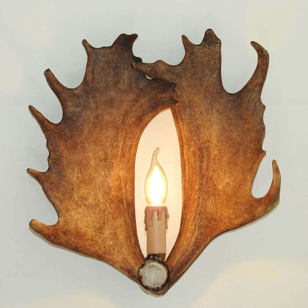 Fallow deer antler wall sconce.