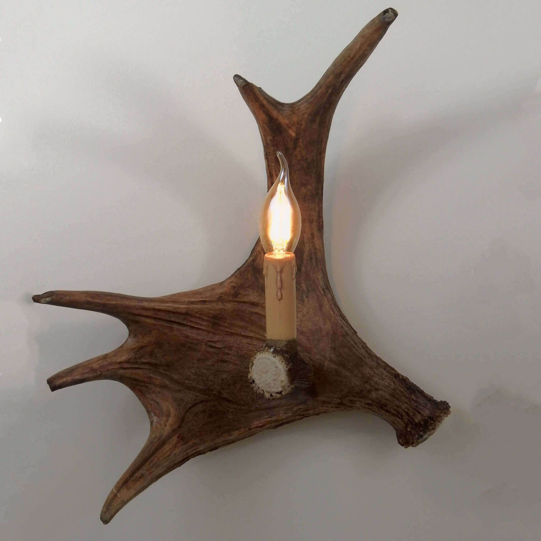 Moose wall antler sconce.