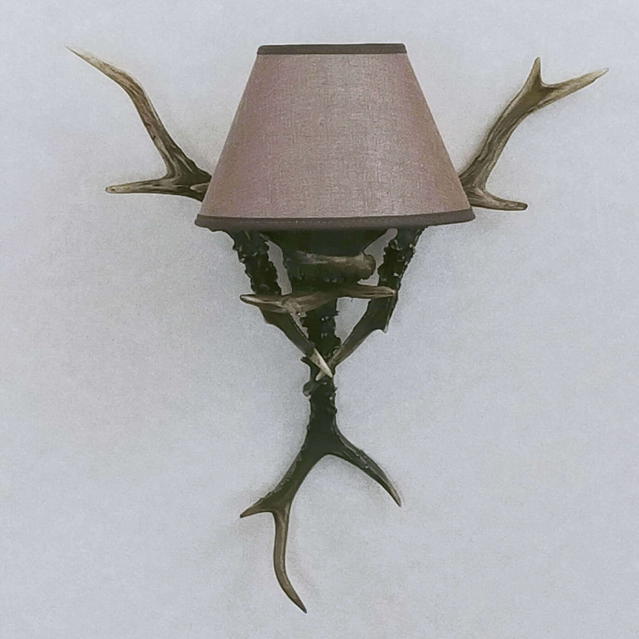 Small antler sconce with brown shade.