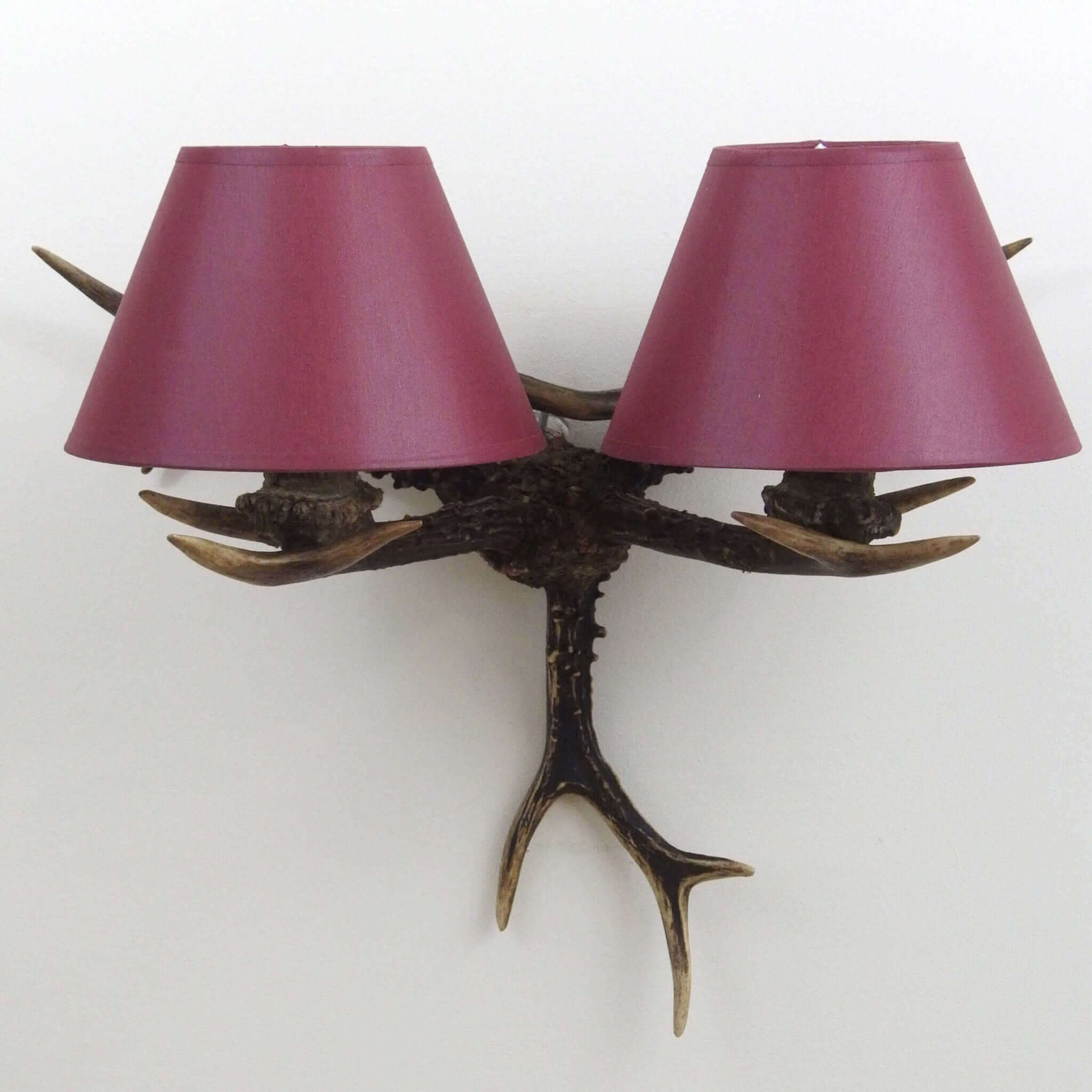 Antler wall chandelier.