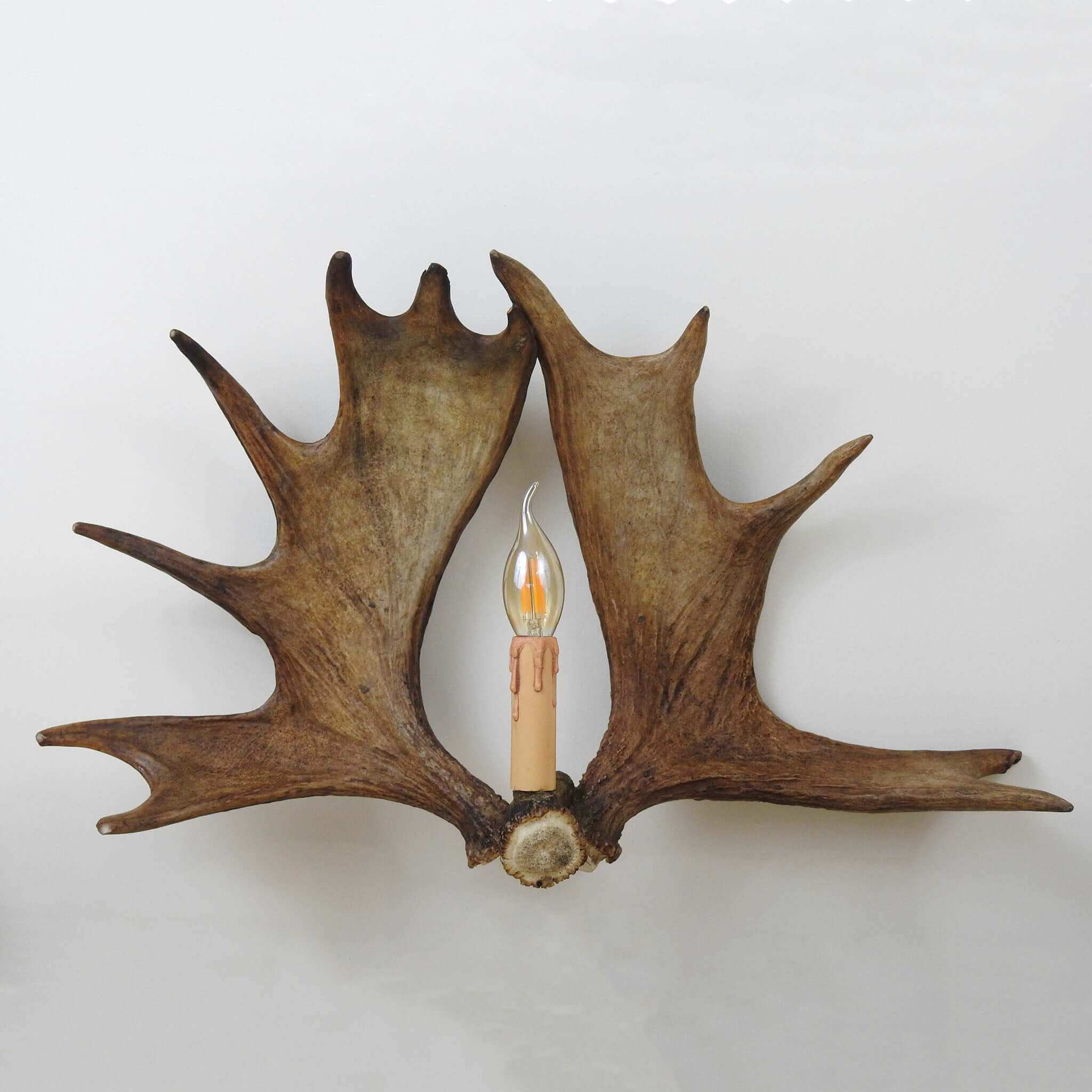 Rustic style antler sconce.