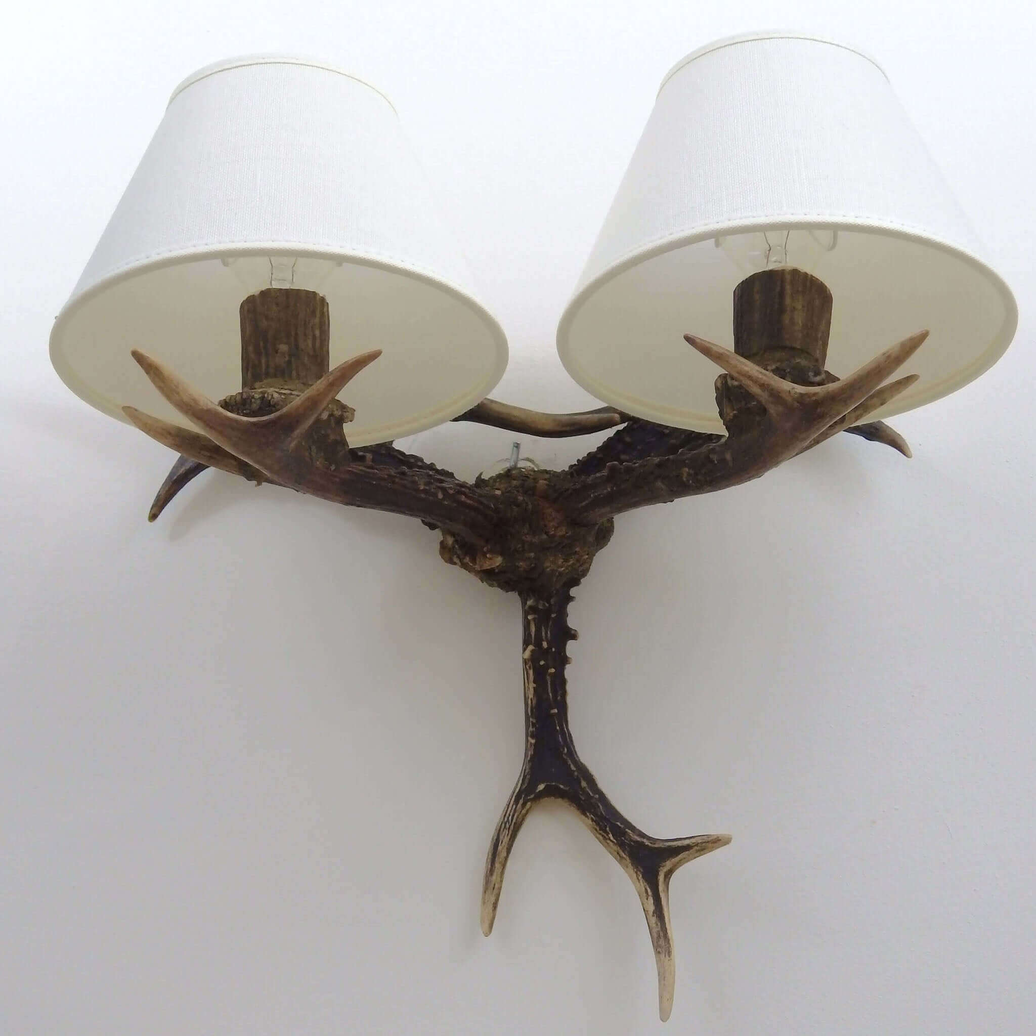 Reo deer antler sconce, view from the bottom.