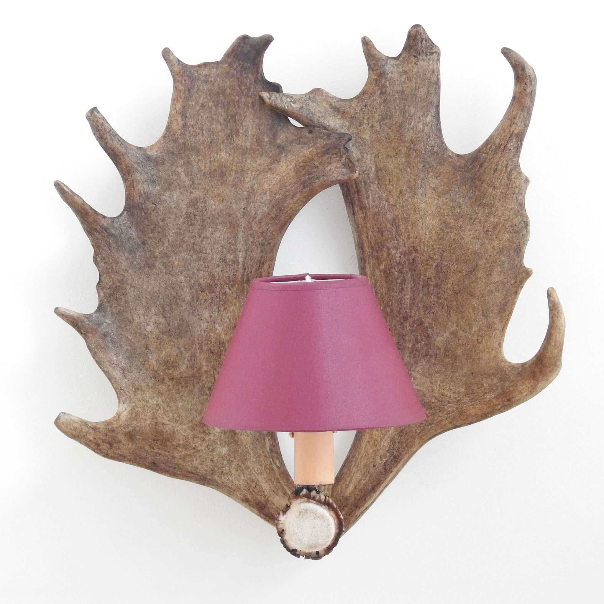 Fallow deer antler sconce for dinning room.