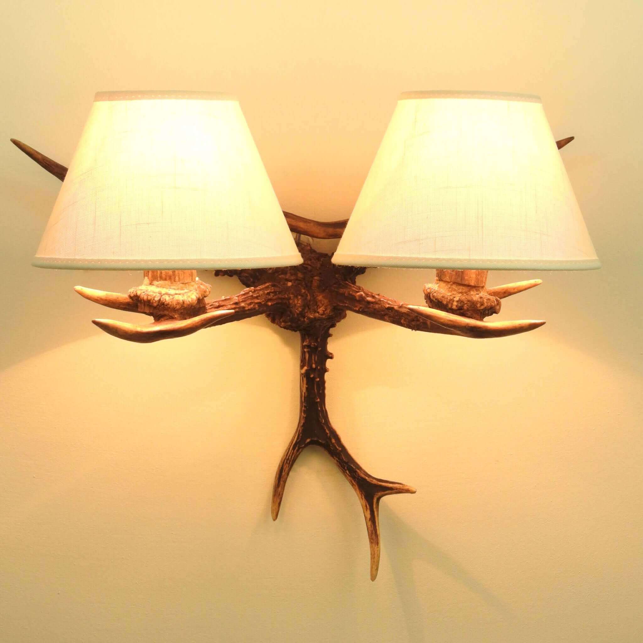 Wall antler lighting.