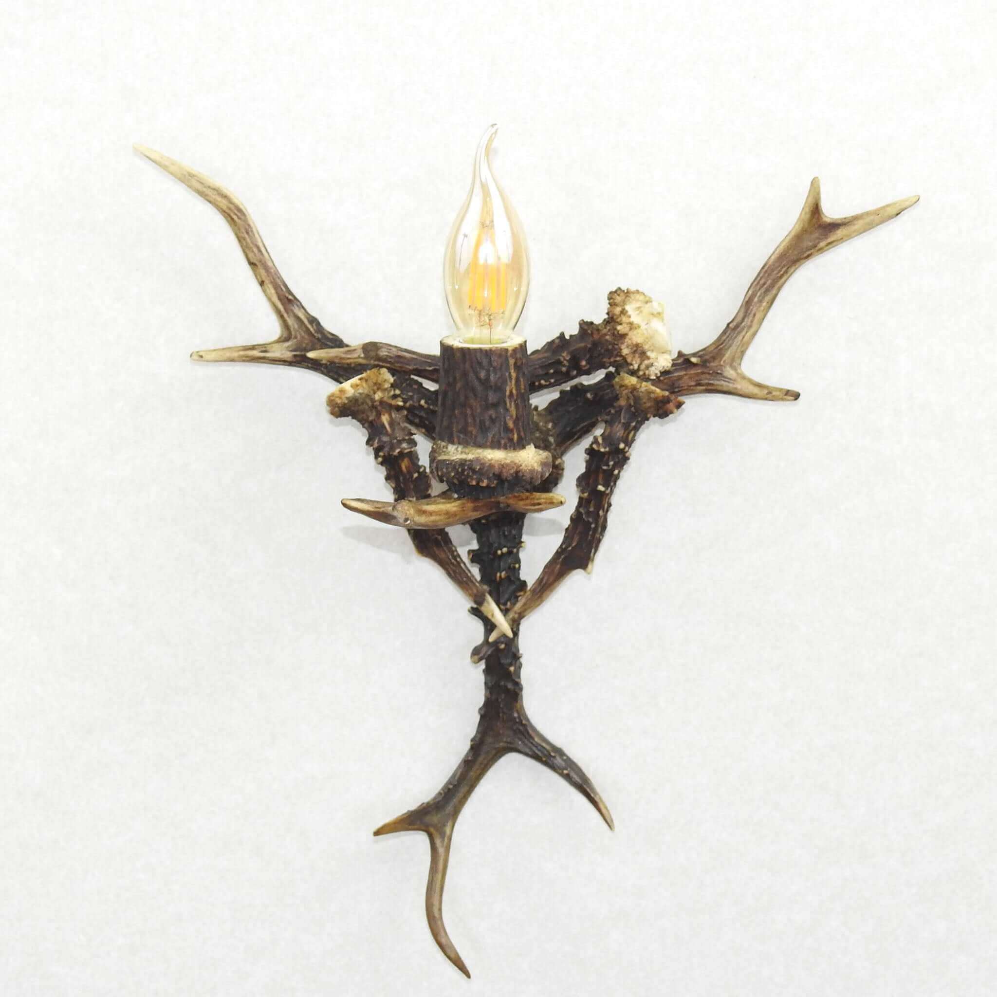 Real moose antler wall sconce.