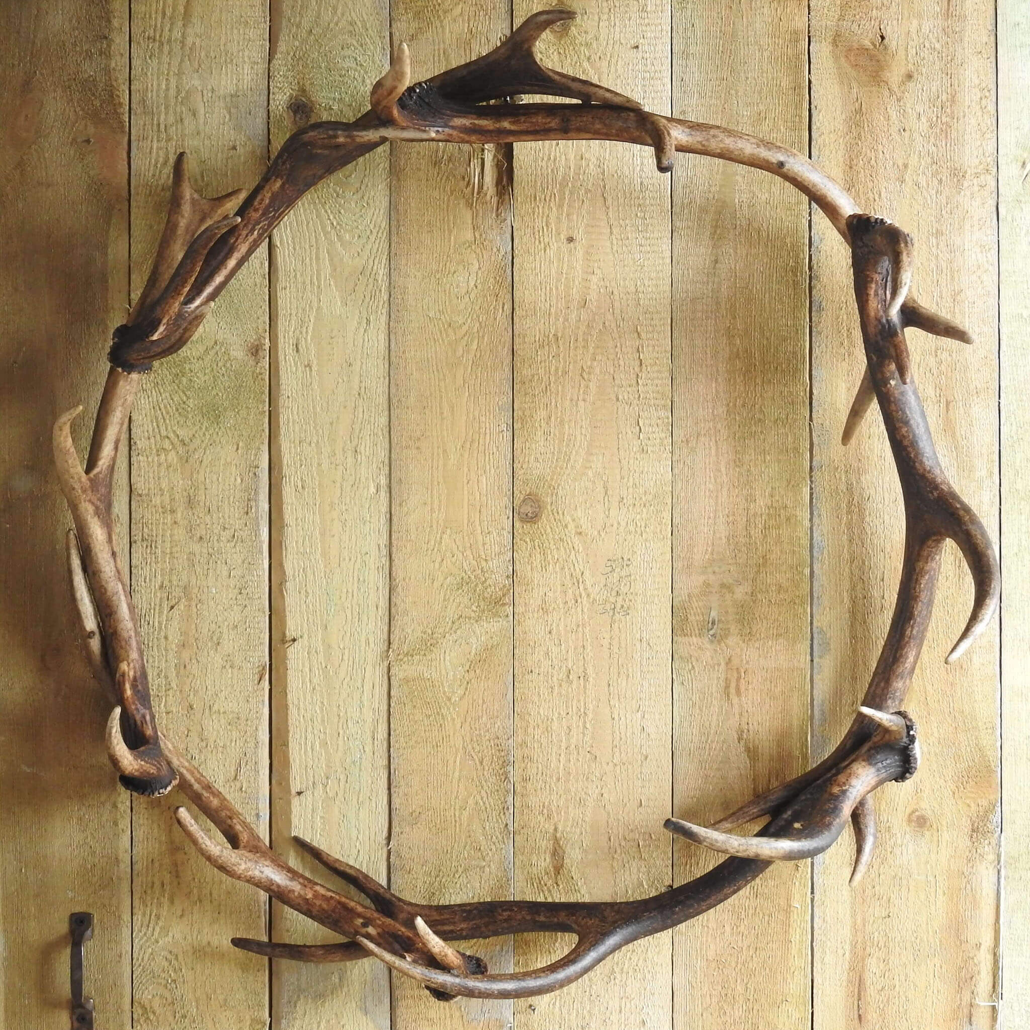 Real deer antler wreath.