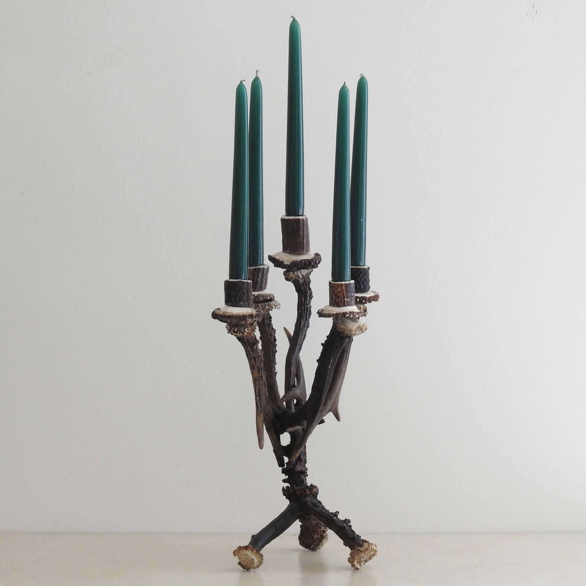 Roe deer antler candelabra.