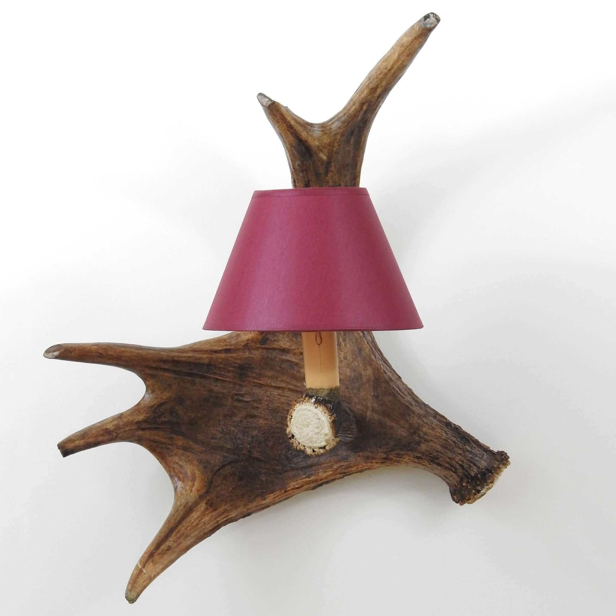 Real moose antler lighting.