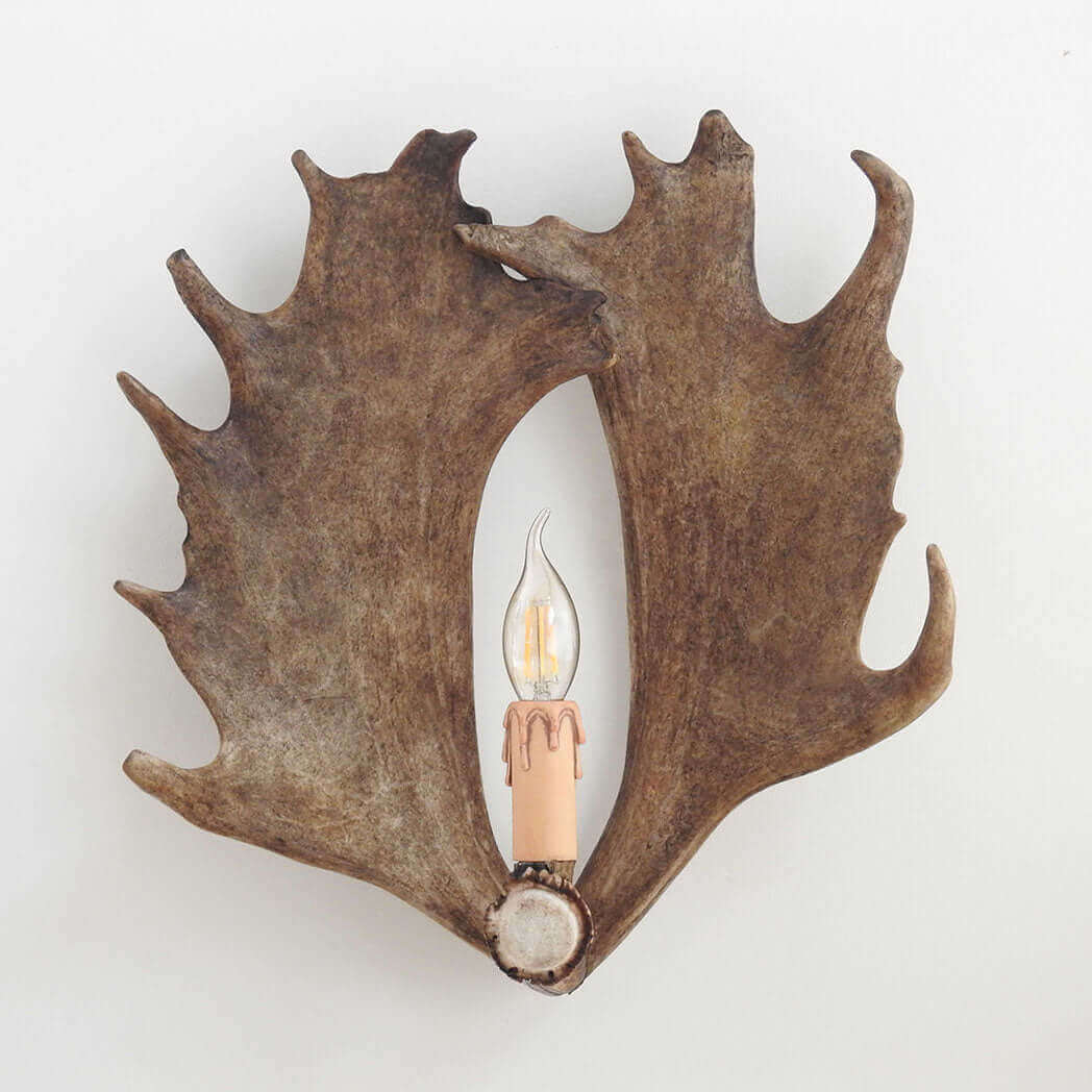 Real antler wall chandelier.
