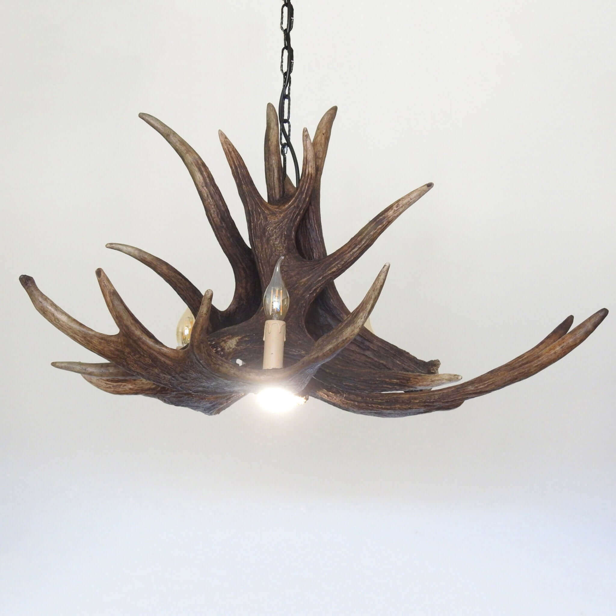 Moose antler chandelier with downlight.