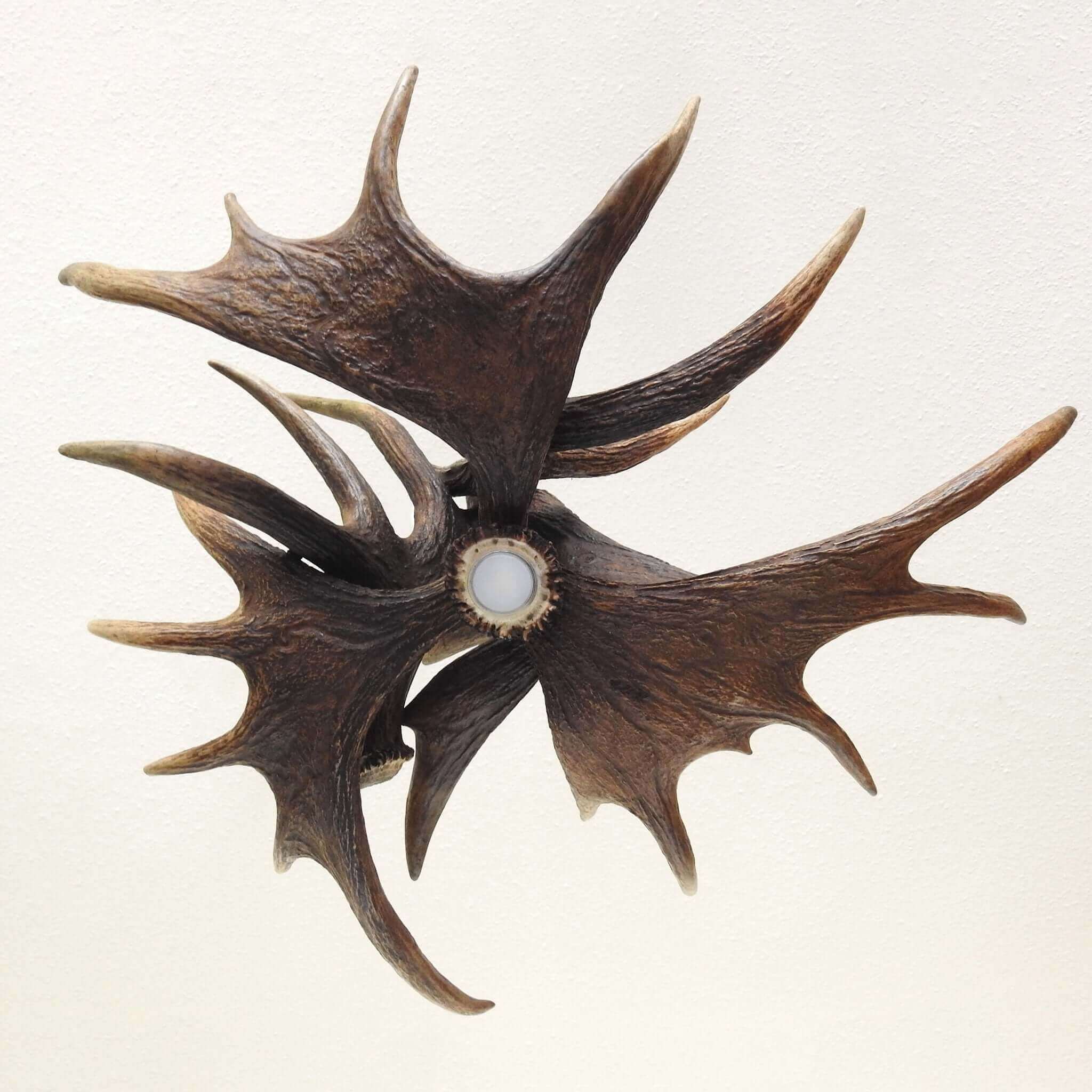 Classic antler chandelier.