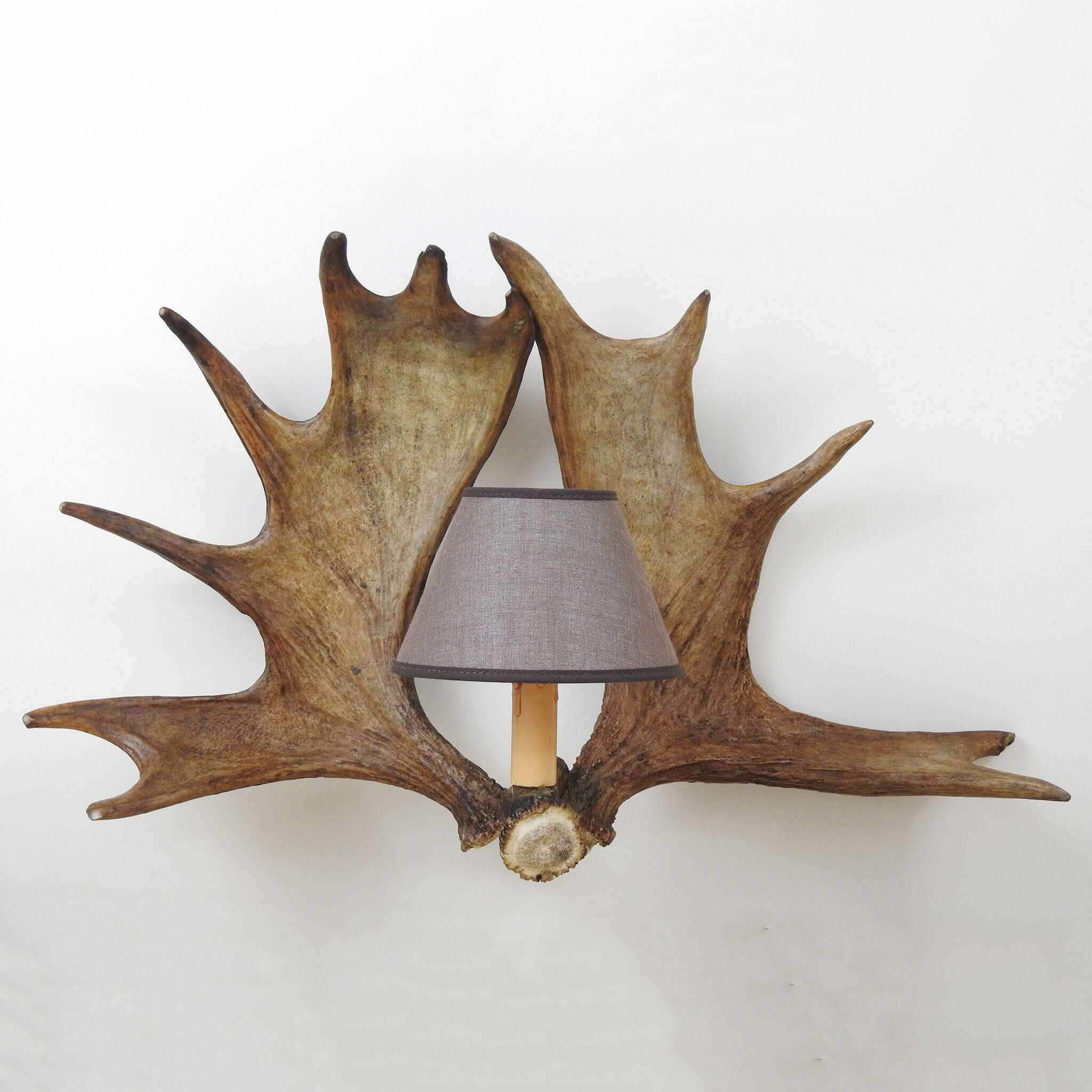 Deer antler lighting with shade.