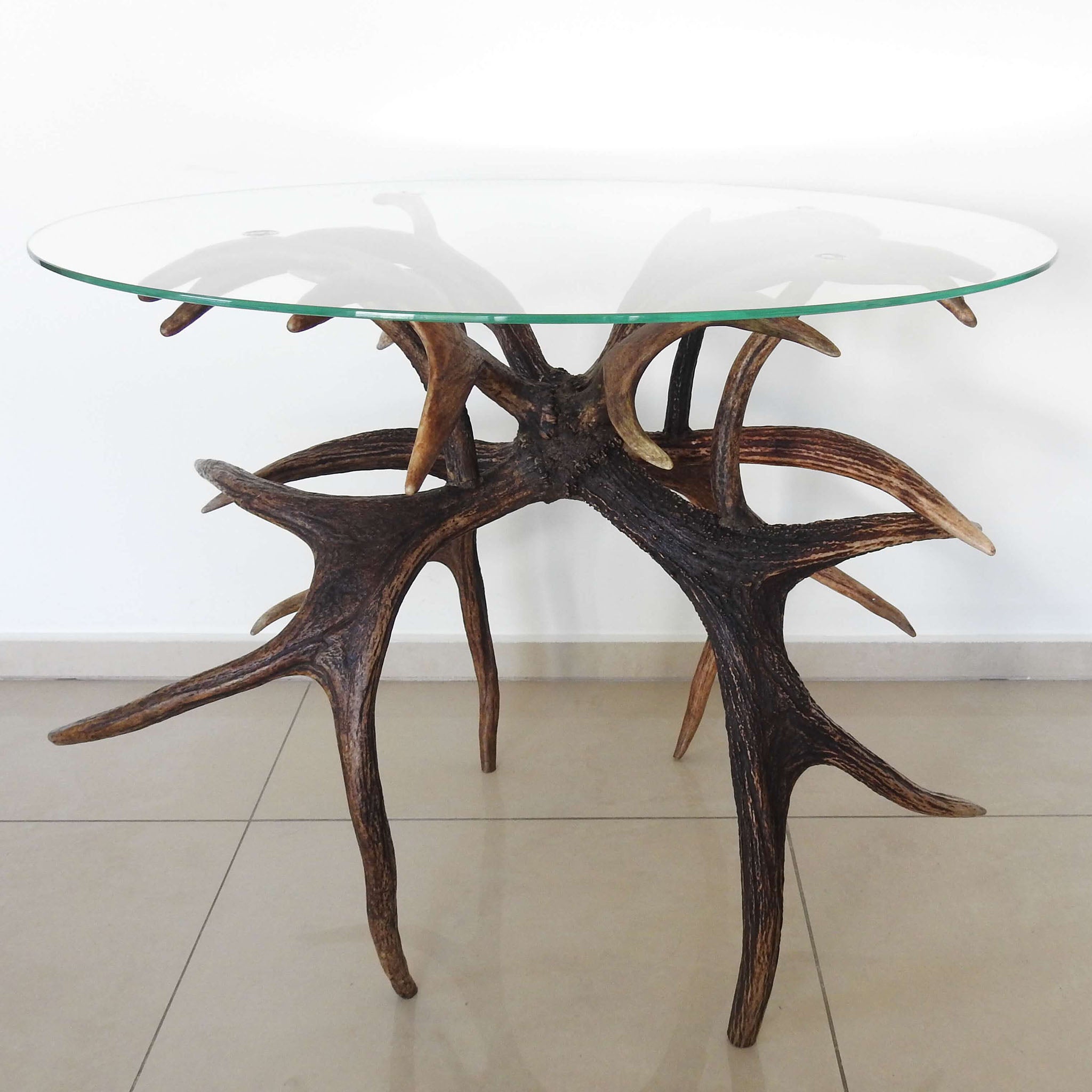 Real moose antler table.