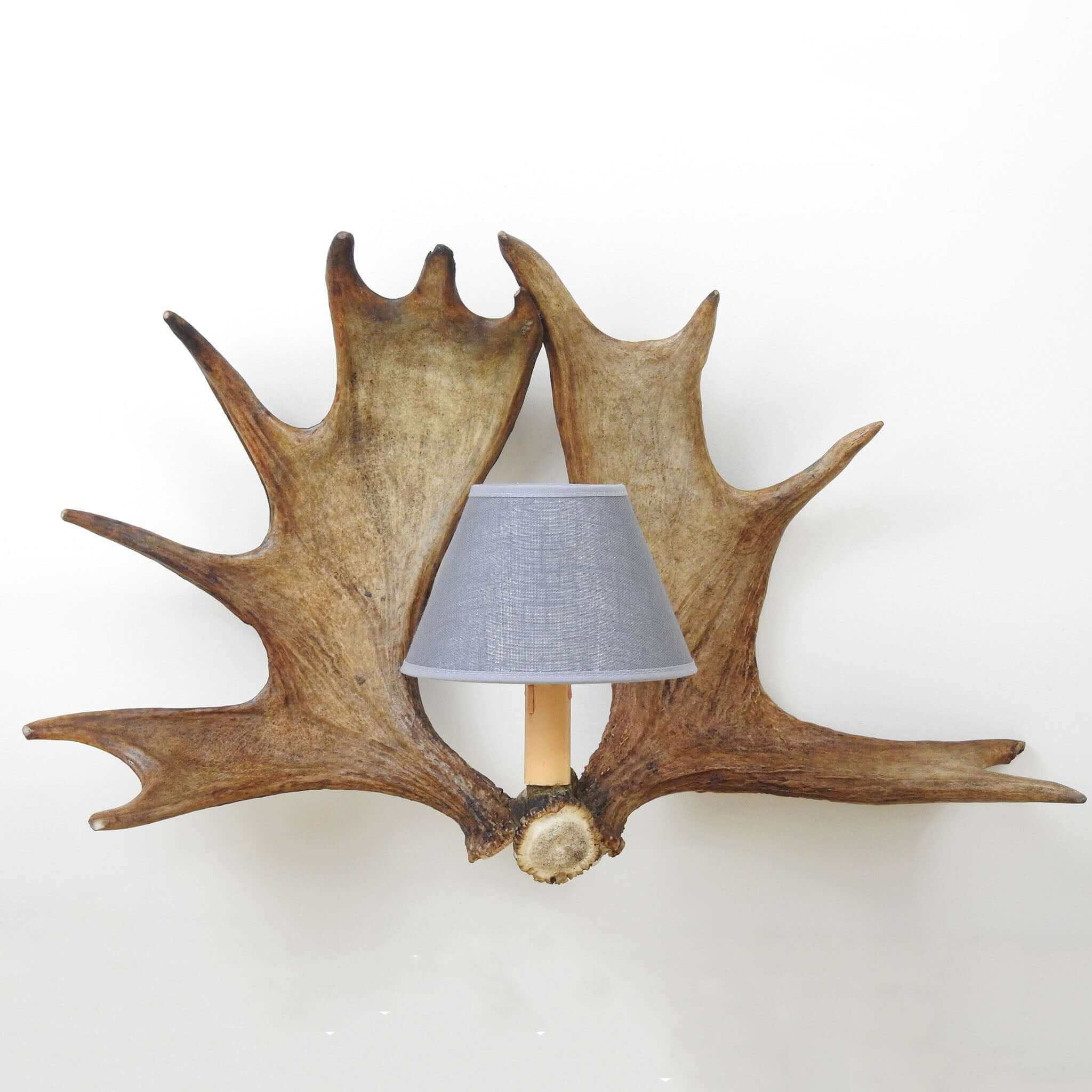 Real antler wall light, made of moose antlers.