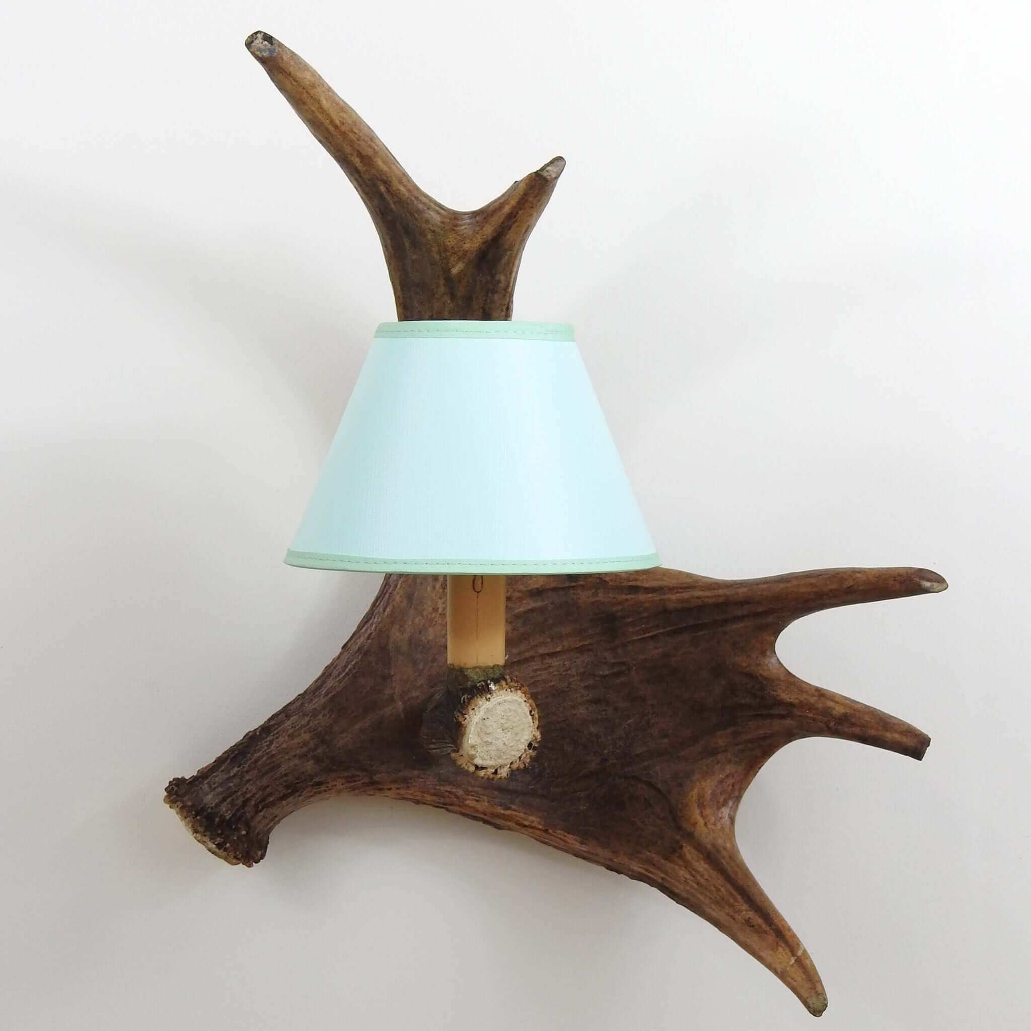 Antler wall sconce.