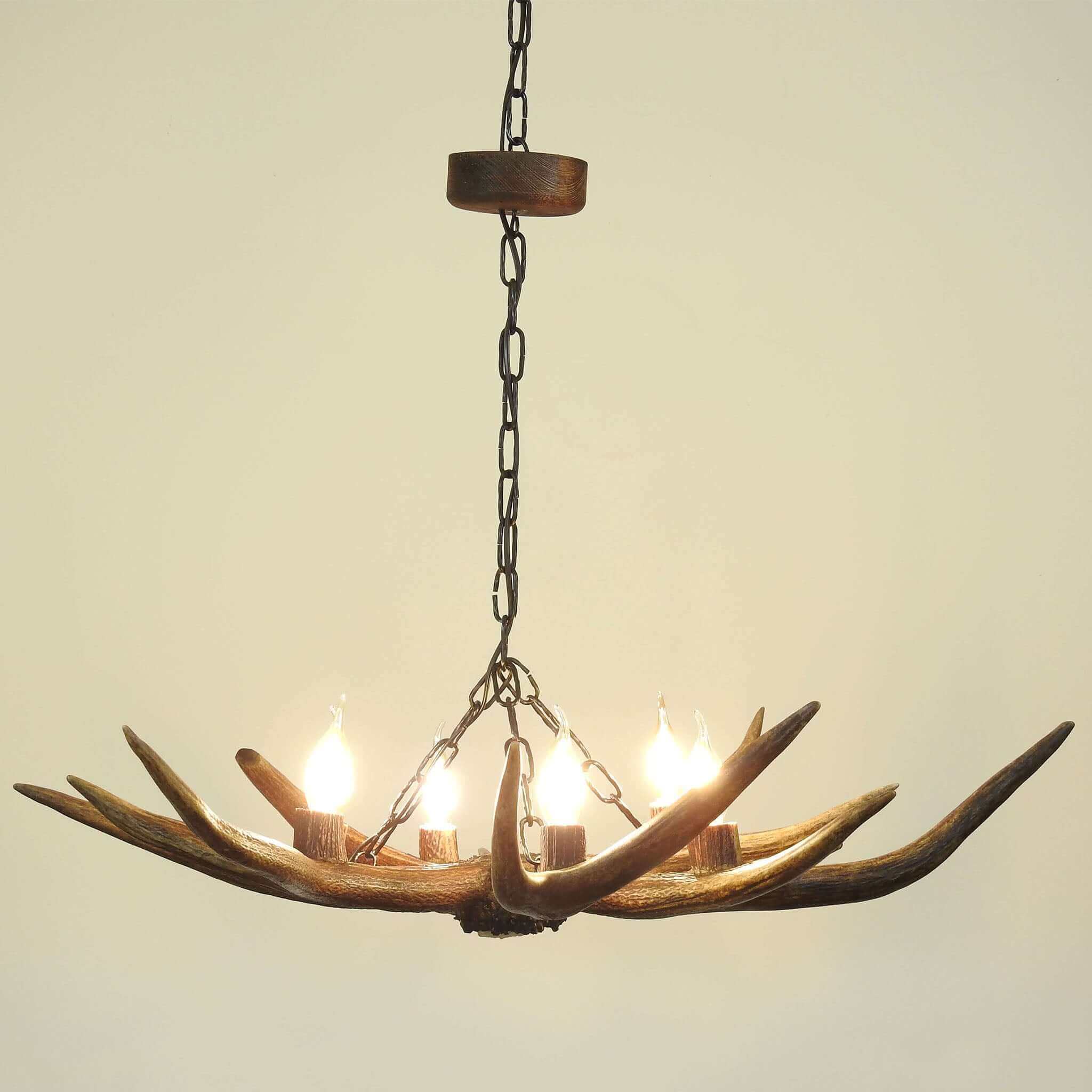 Antler lighting for farmhouse.