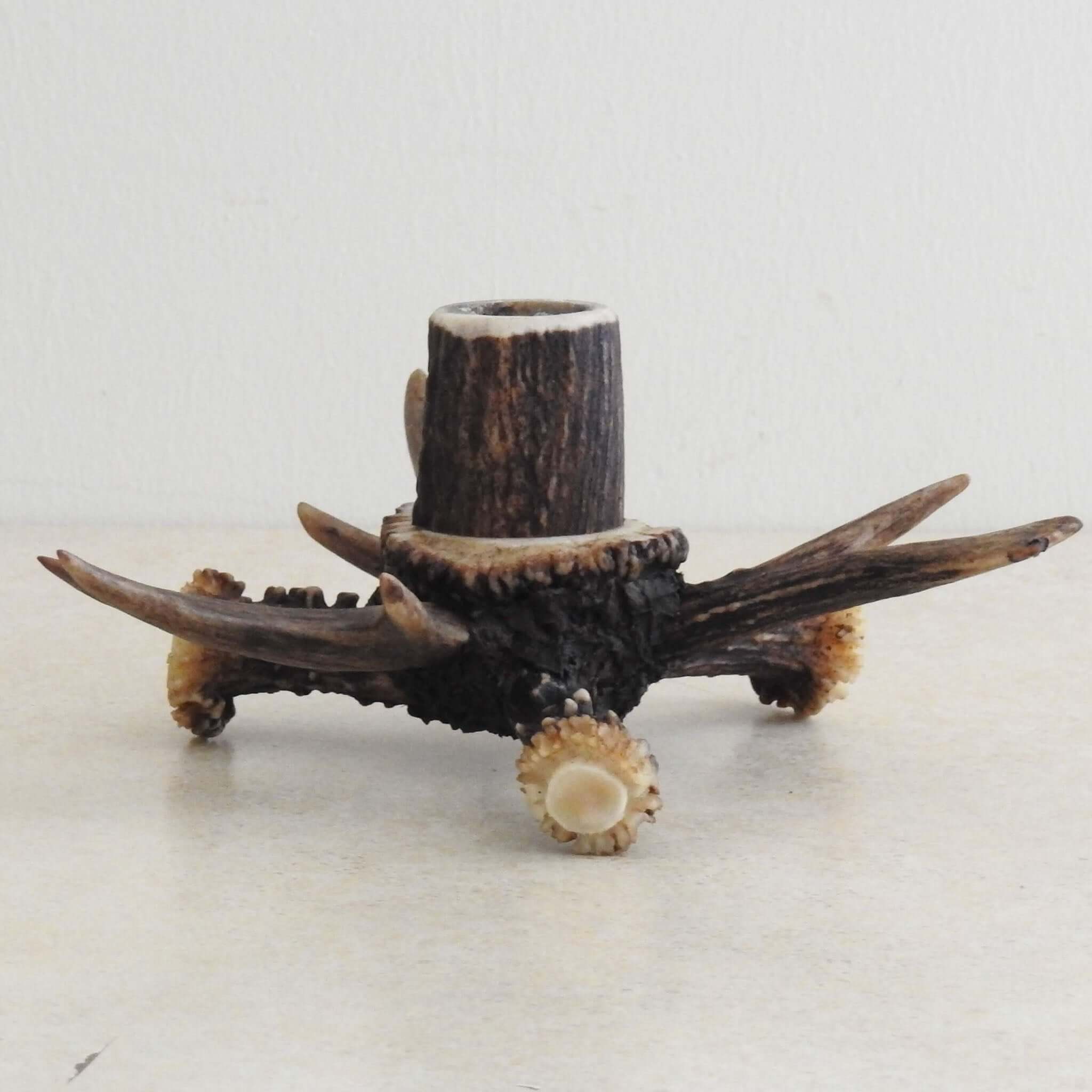 Small antler decor.