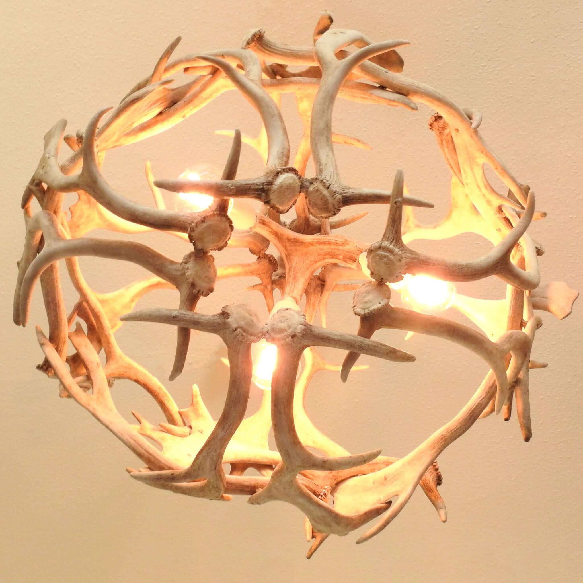 Antler chandelier hanging on rope.
