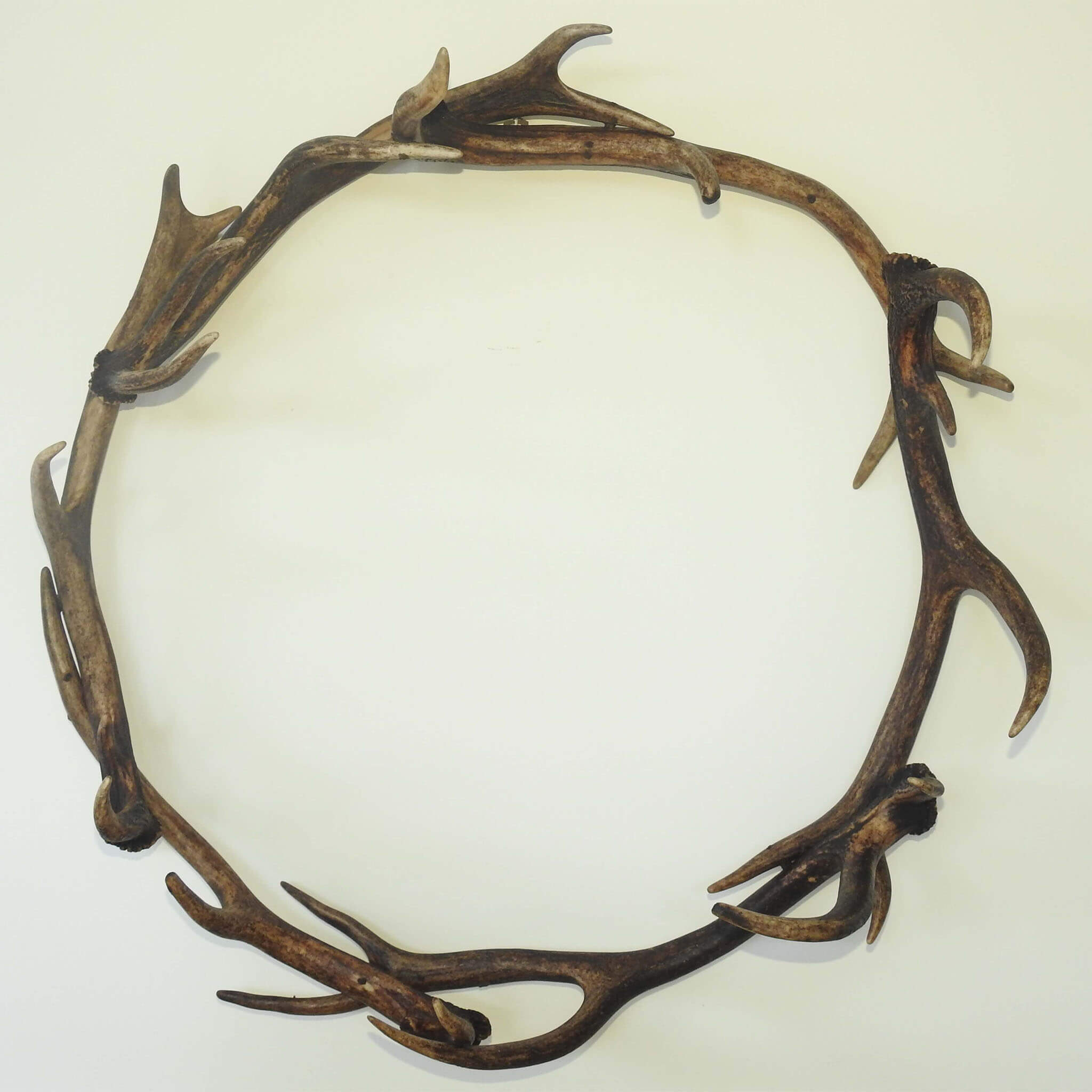 Rustic antler wall decor.