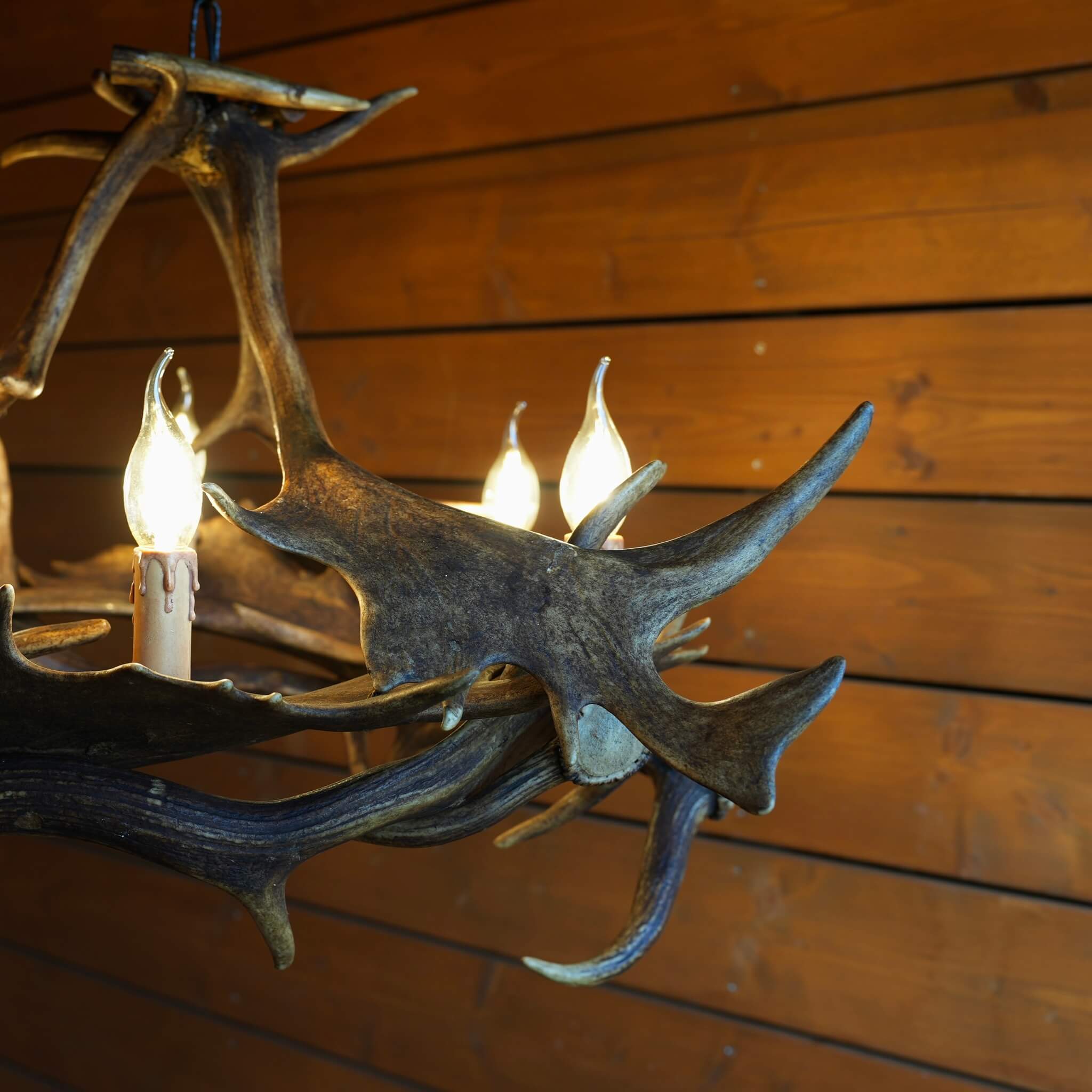 Details of round shape antler chandelier.
