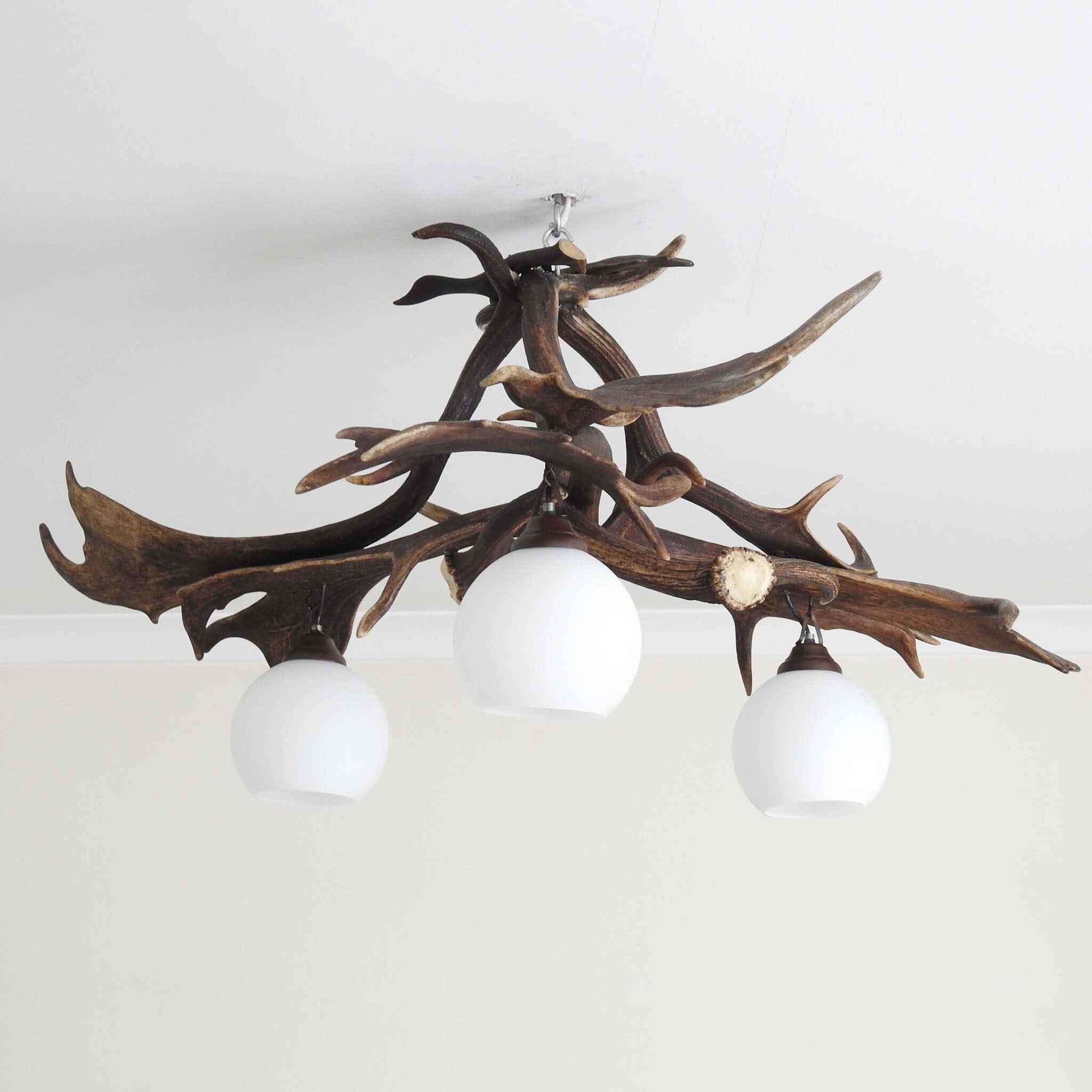 Pendant antler lamp for farmhouse.