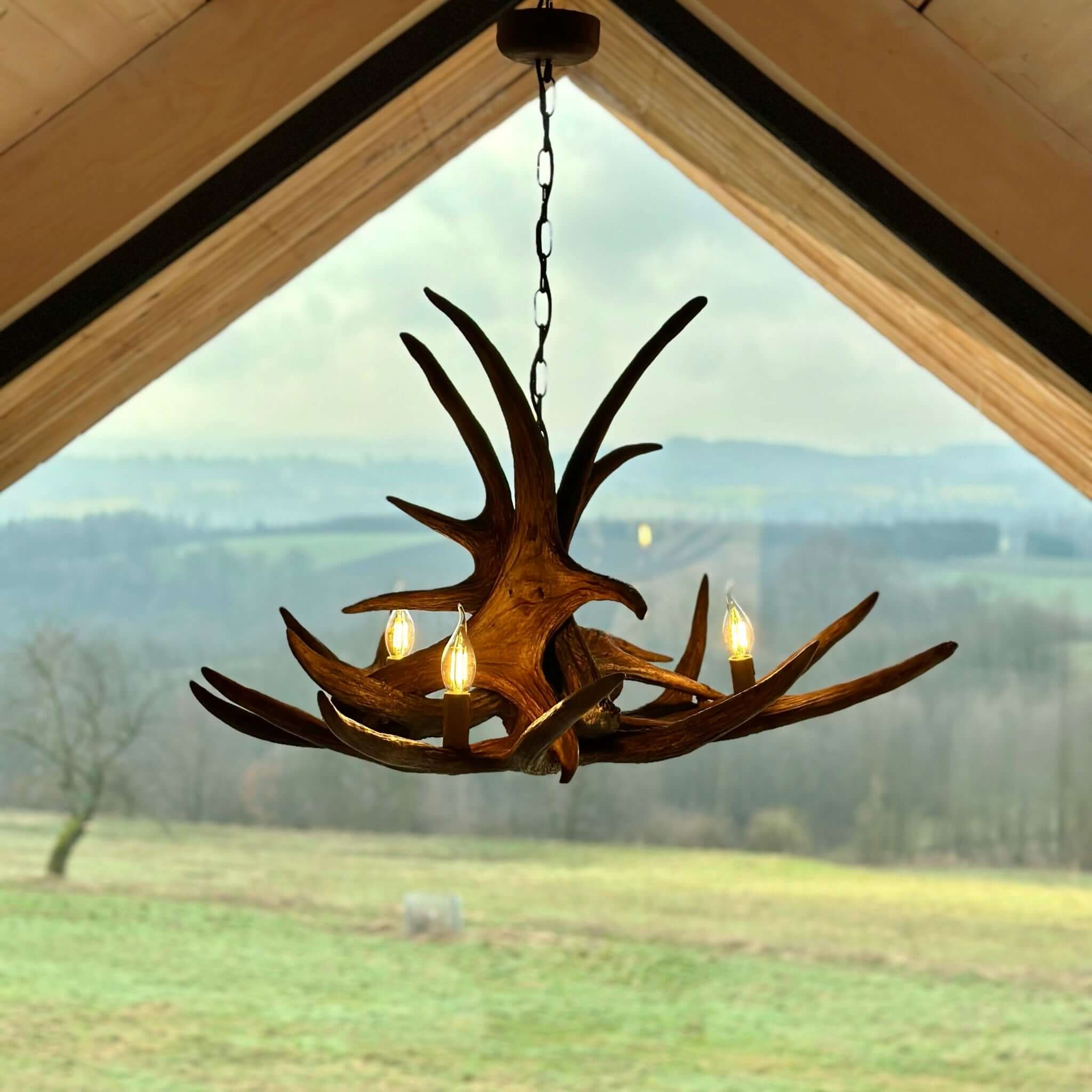 Real moose antler chandelier.