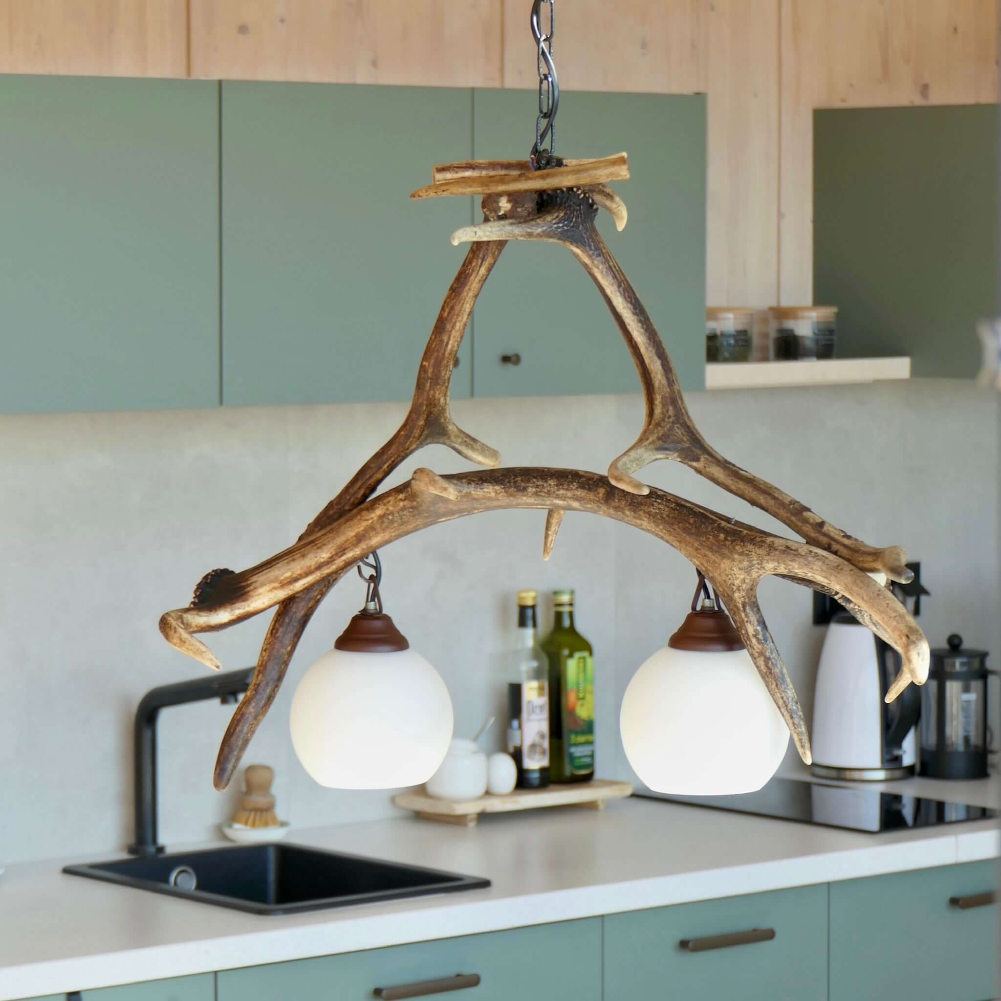 Small deer antler light fixture.