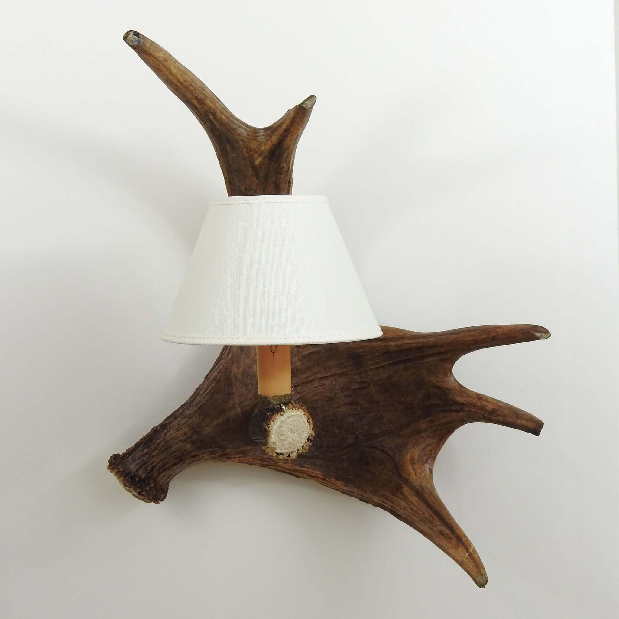 Deer antler wall light.