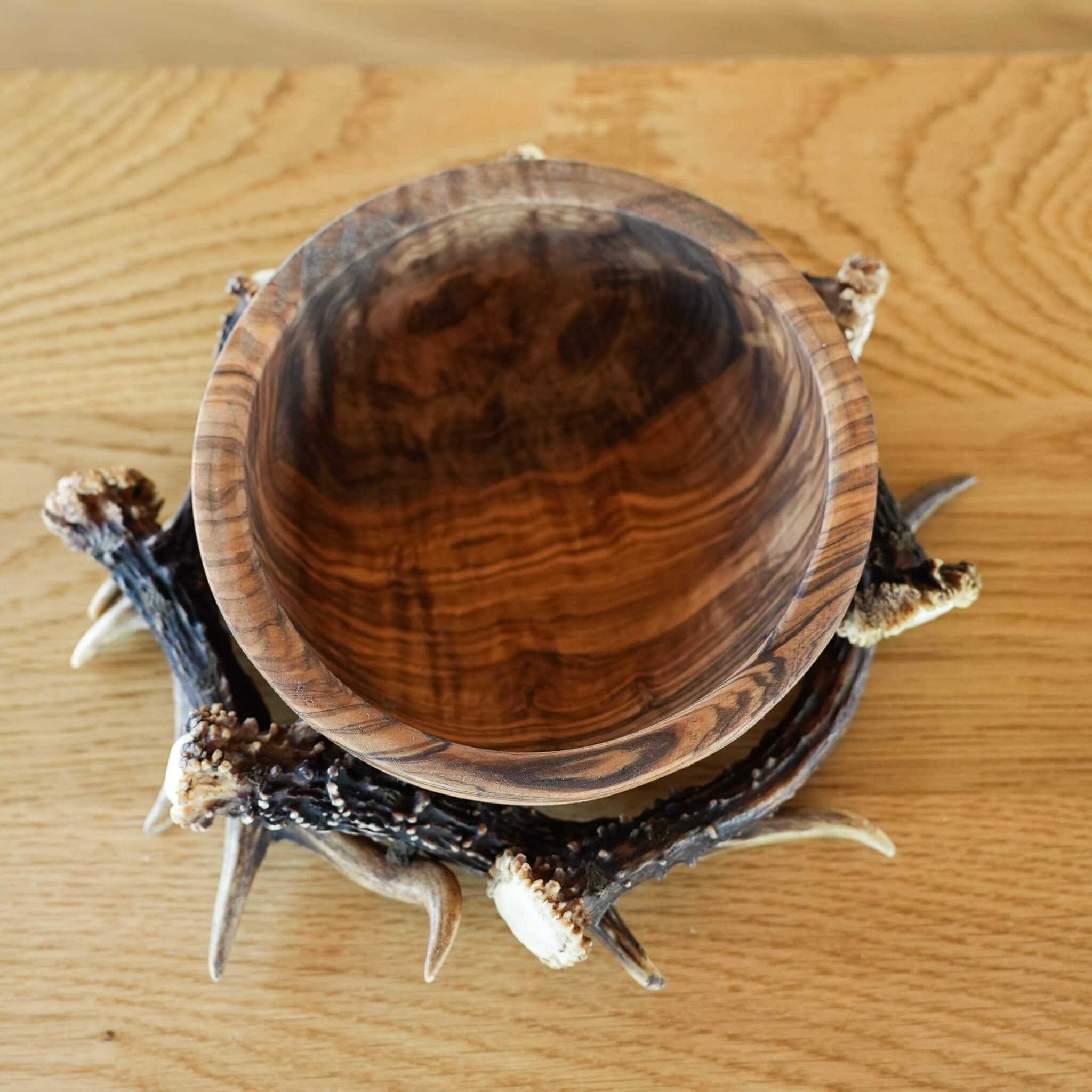 Decorative olive wood bowl resting in a natural antler ring, with a light wood background.