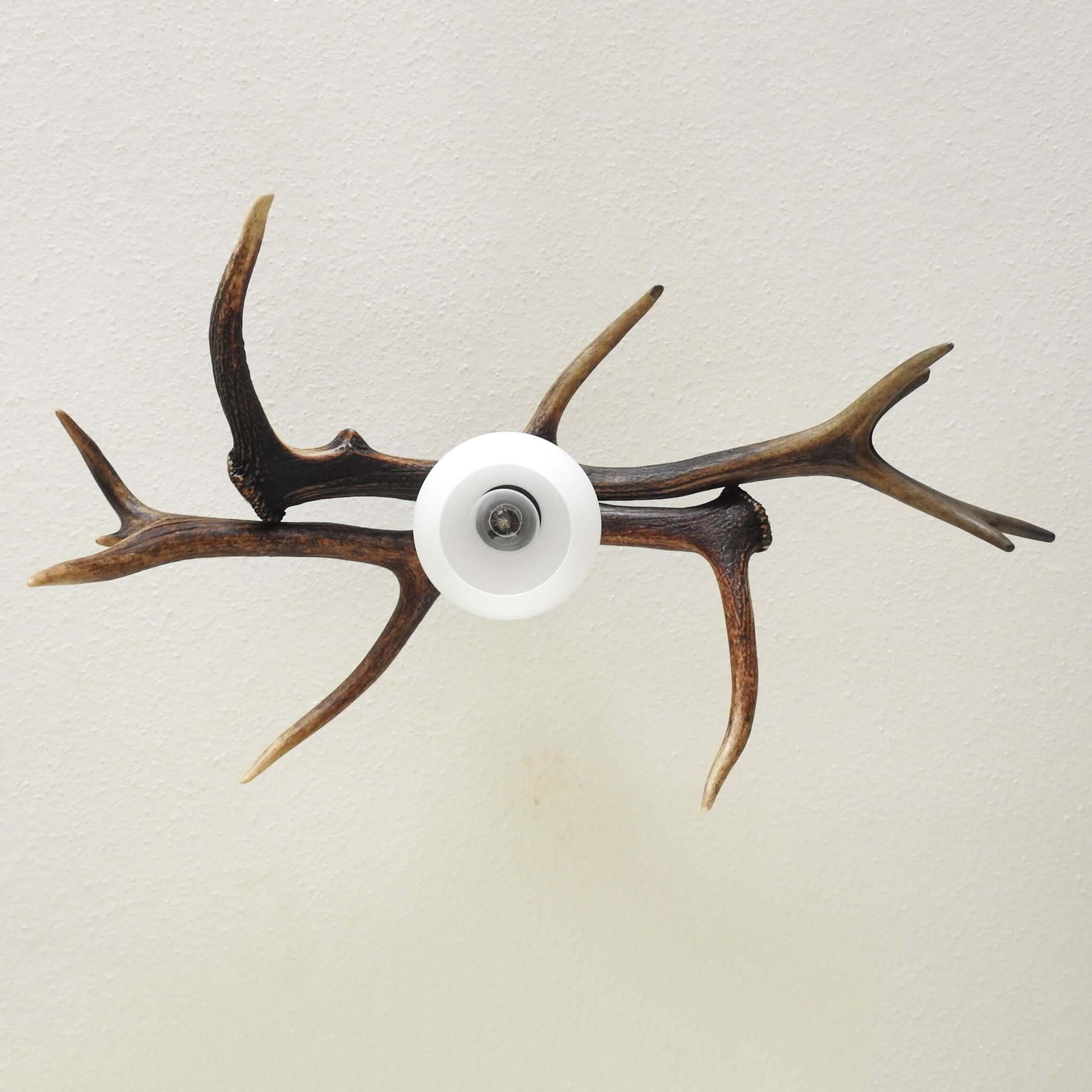 Small antler pendant lamp.