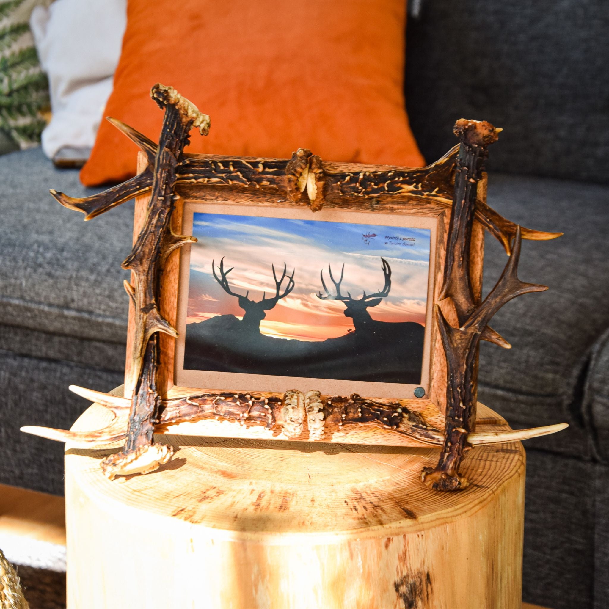Real wall antler decor