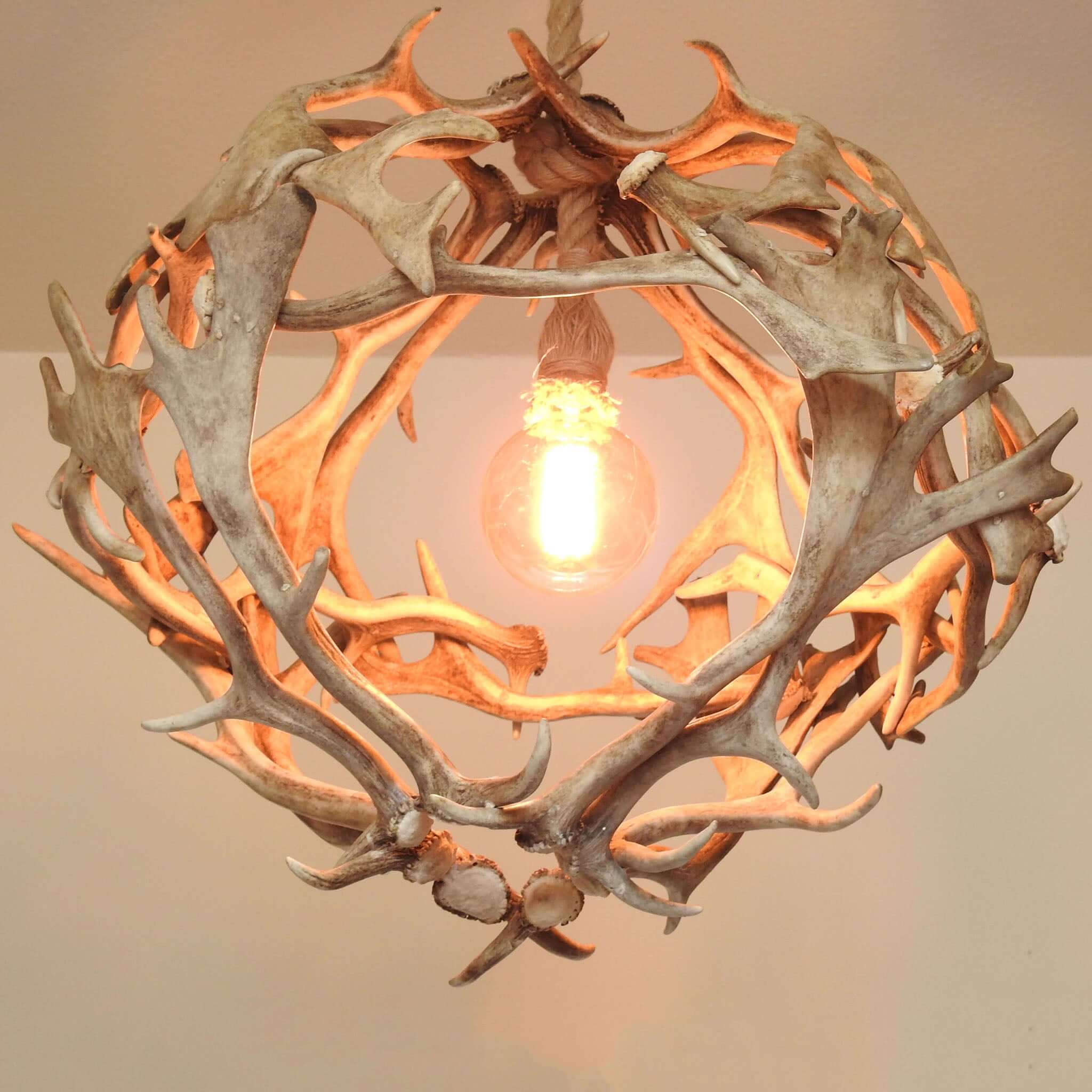 Moose antler lighting.