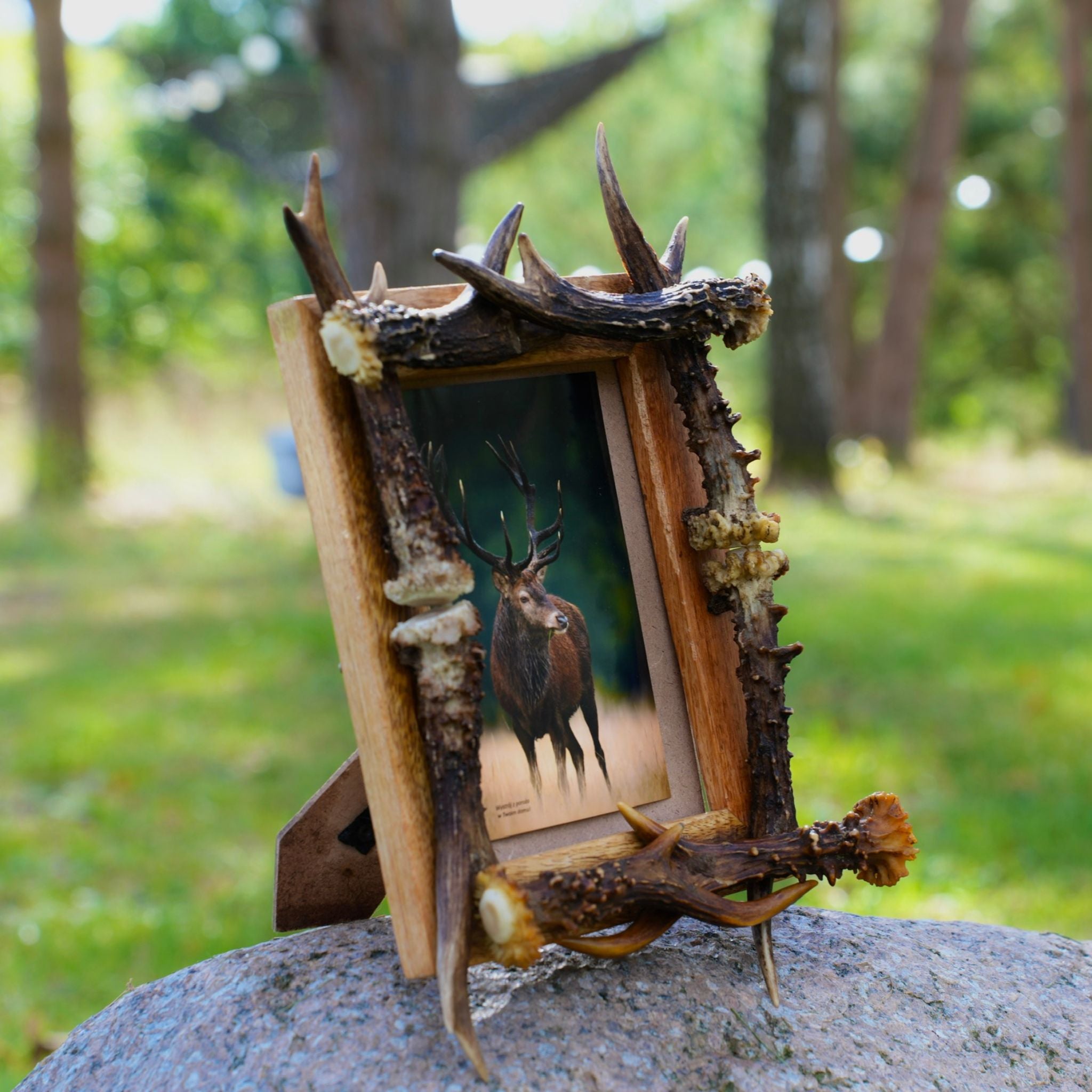 Antler home decor