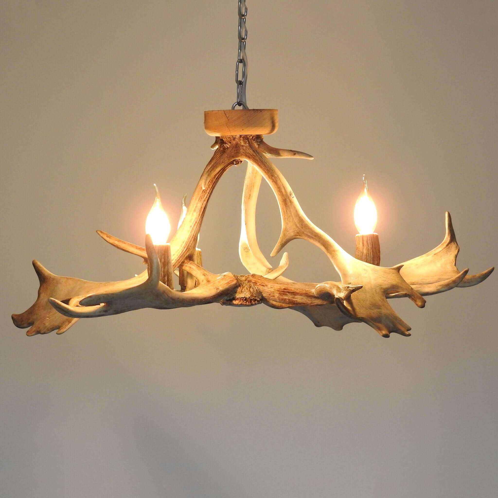 Antler chandelier for small room.