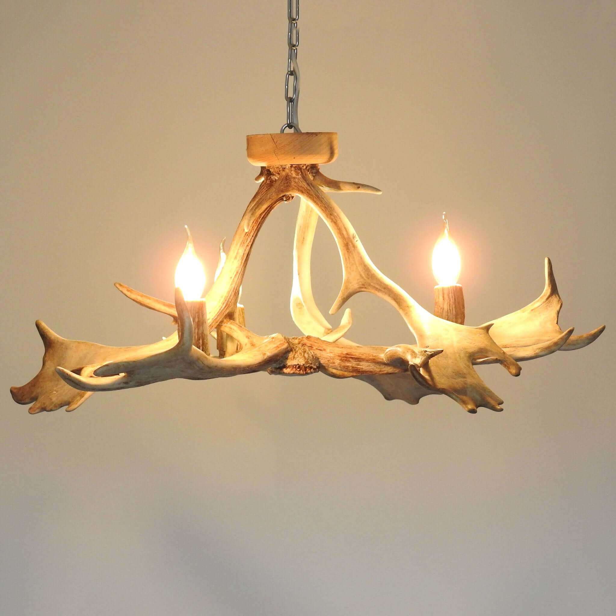Small antler chandelier.