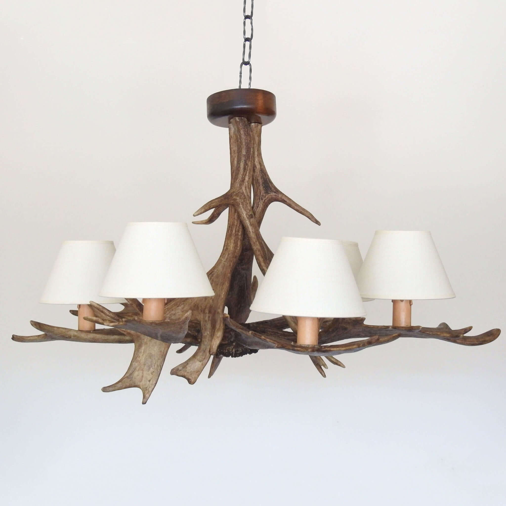 Antler chandelier with shade