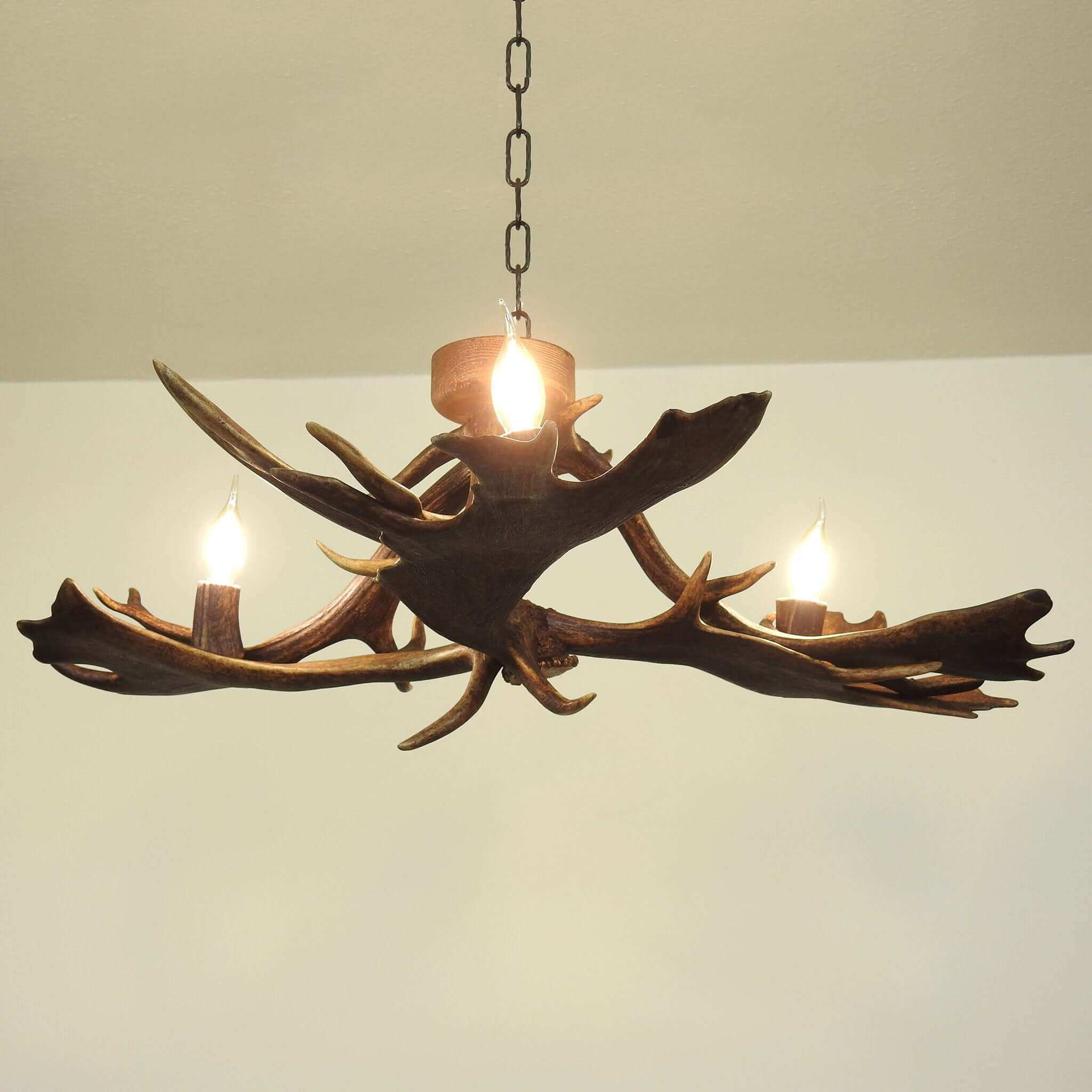 Real antler lighting for low ceiling room.