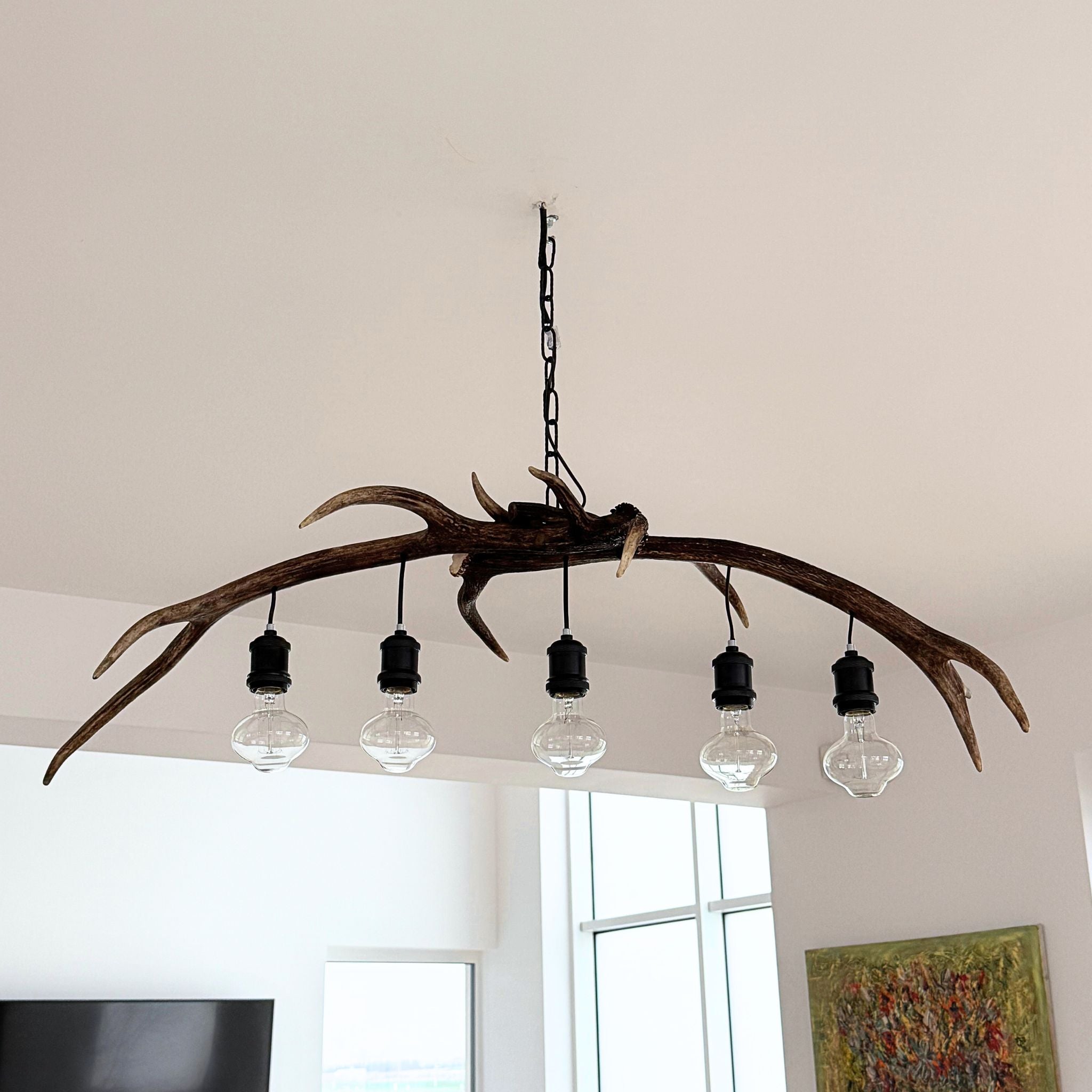 A rustic deer antler chandelier with five hanging clear glass bulbs, suspended from a ceiling in a bright room.