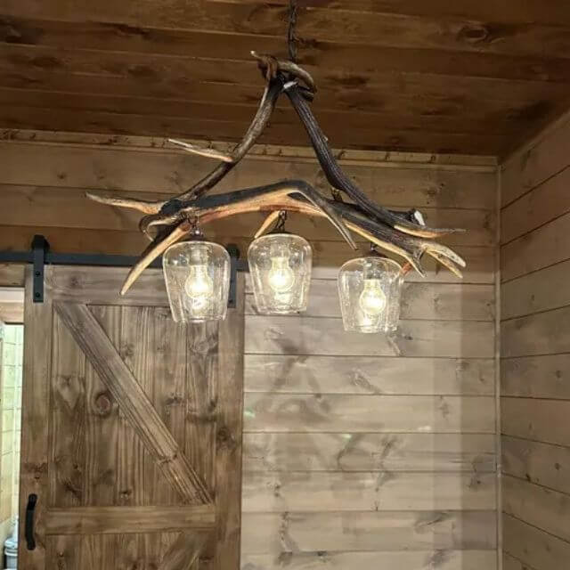 Real antler pendant lamp for 3 bulbs with transparent shades in rustic lodge.
