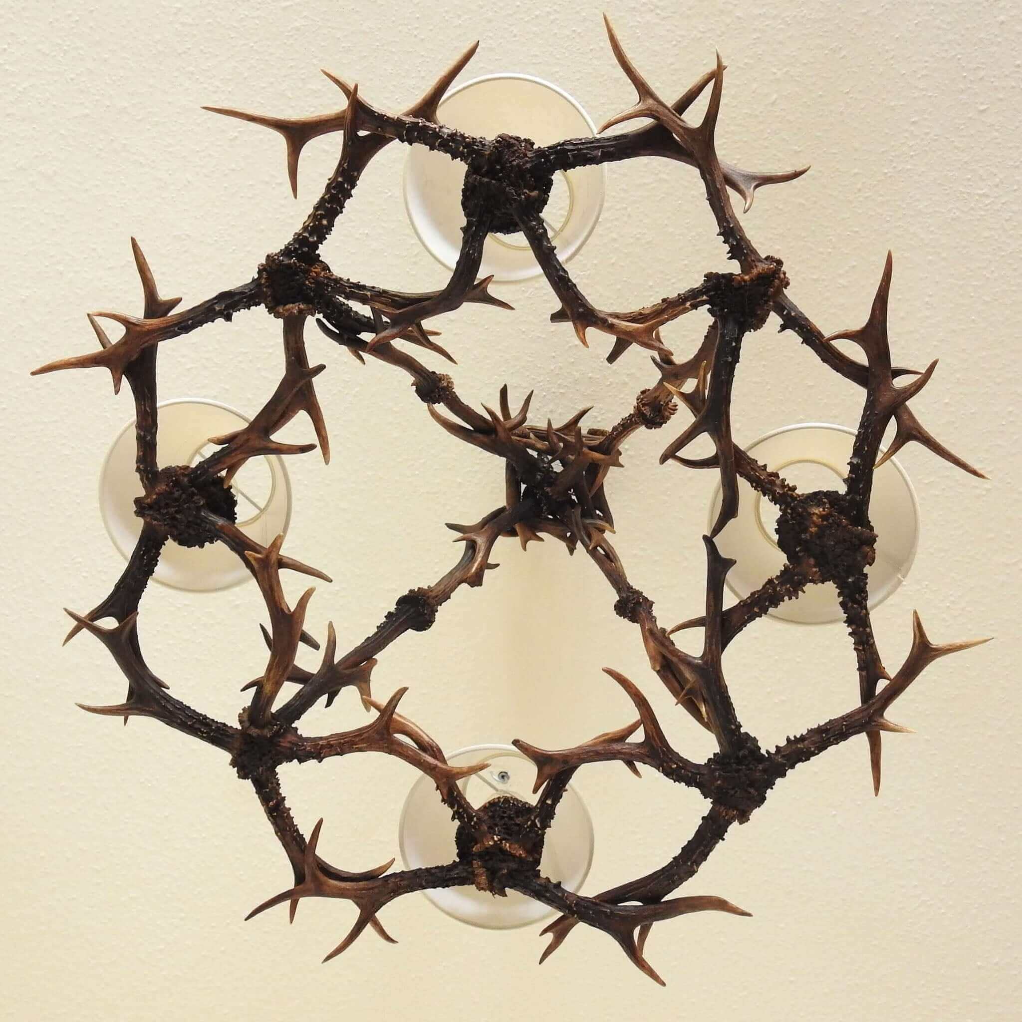 Antler chandelier, view from the bottom.