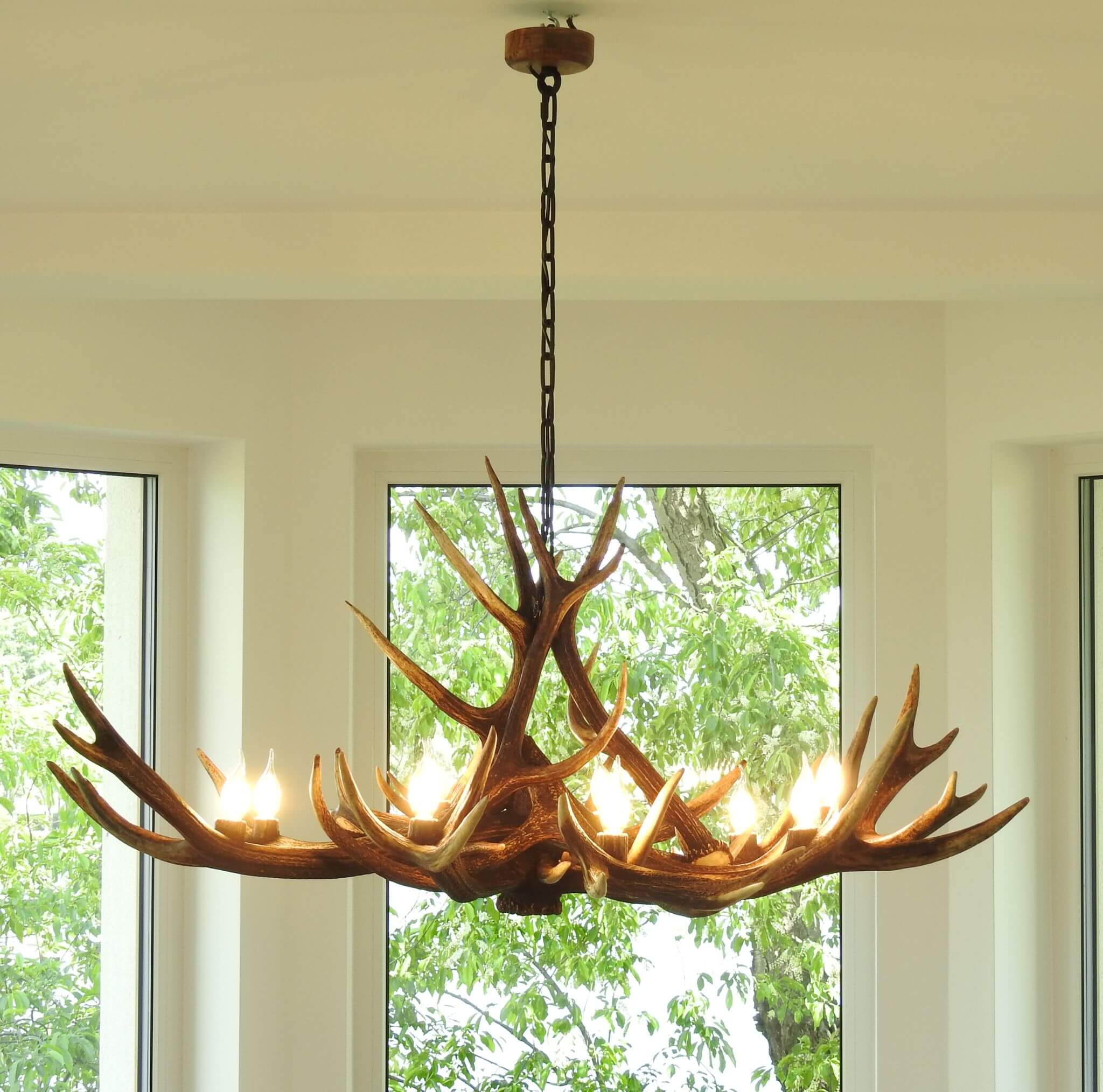 Antler chandelier hanging in a room with large windows showing greenery outside.